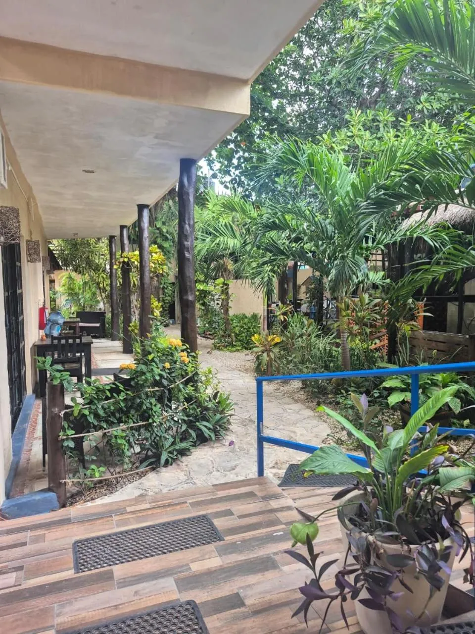 Garden in Hotel Casa el Moro