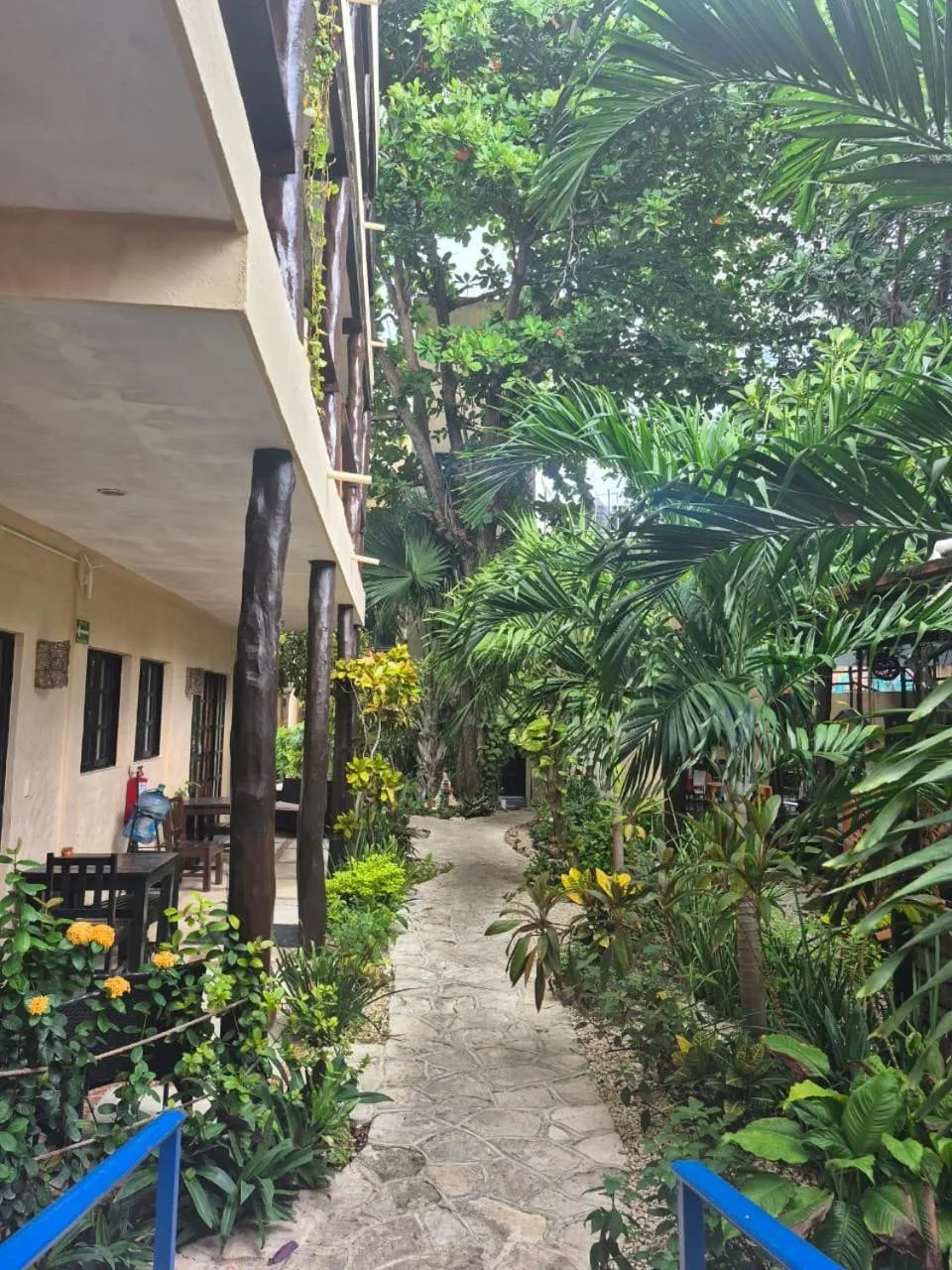 Garden in Hotel Casa el Moro