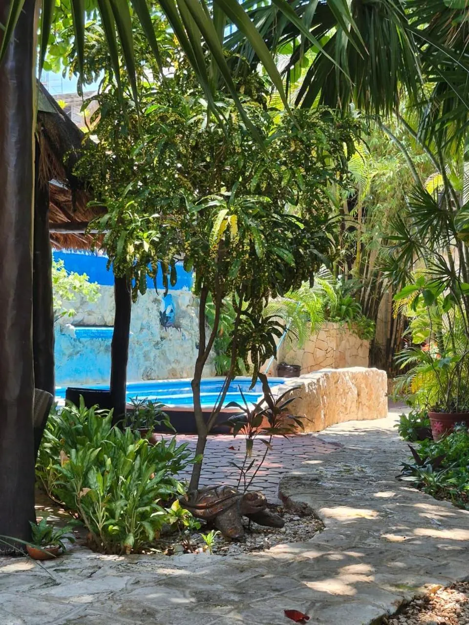 Garden in Hotel Casa el Moro