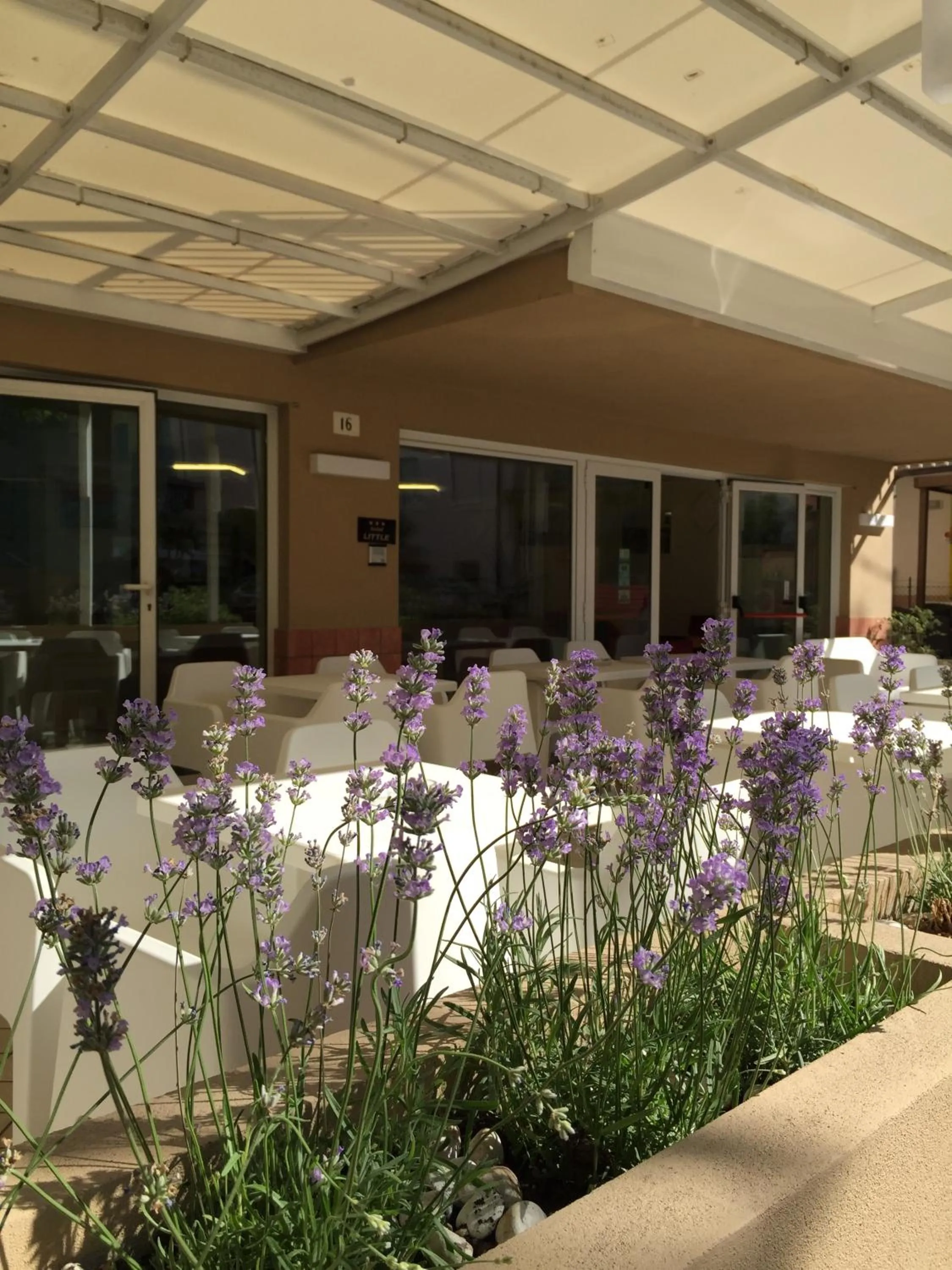 Patio in Hotel Little