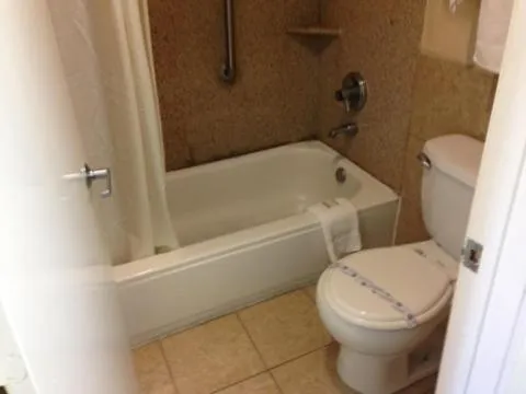 Bathroom in Downtowner Inn and Suites - Houston