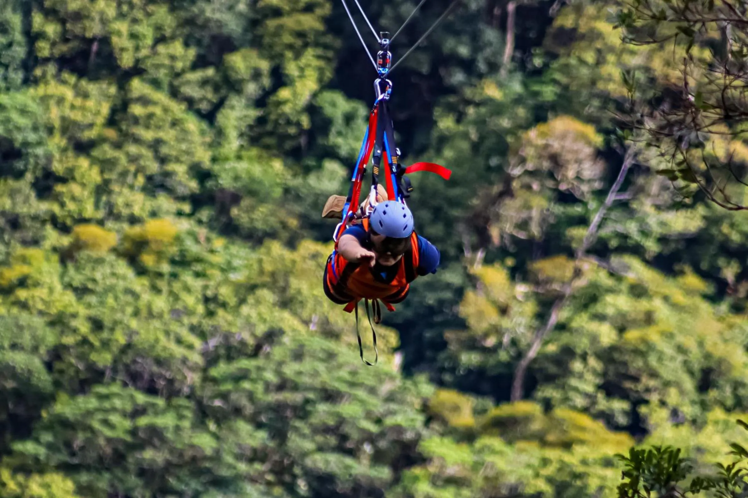 Activities in TREE TREK BOQUETE Adventure Park
