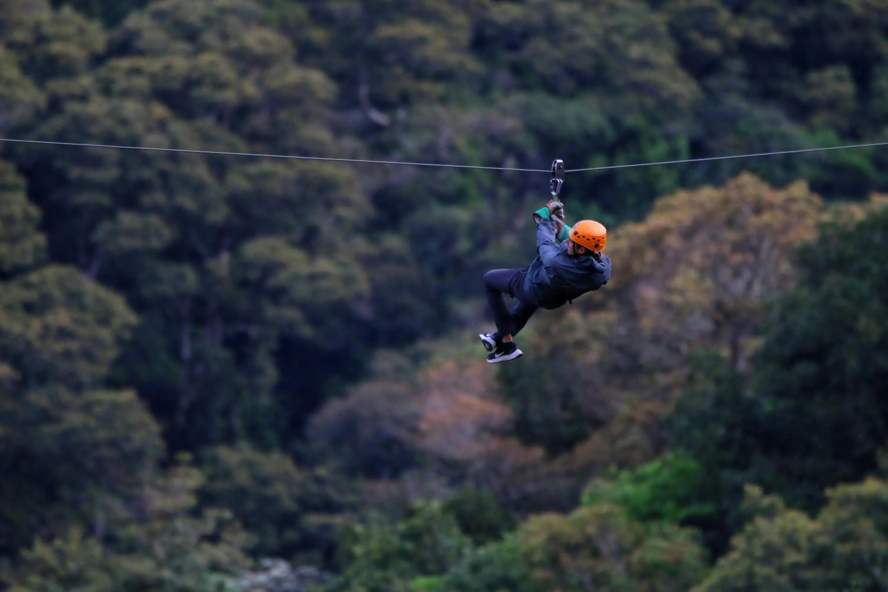 Activities in TREE TREK BOQUETE Adventure Park