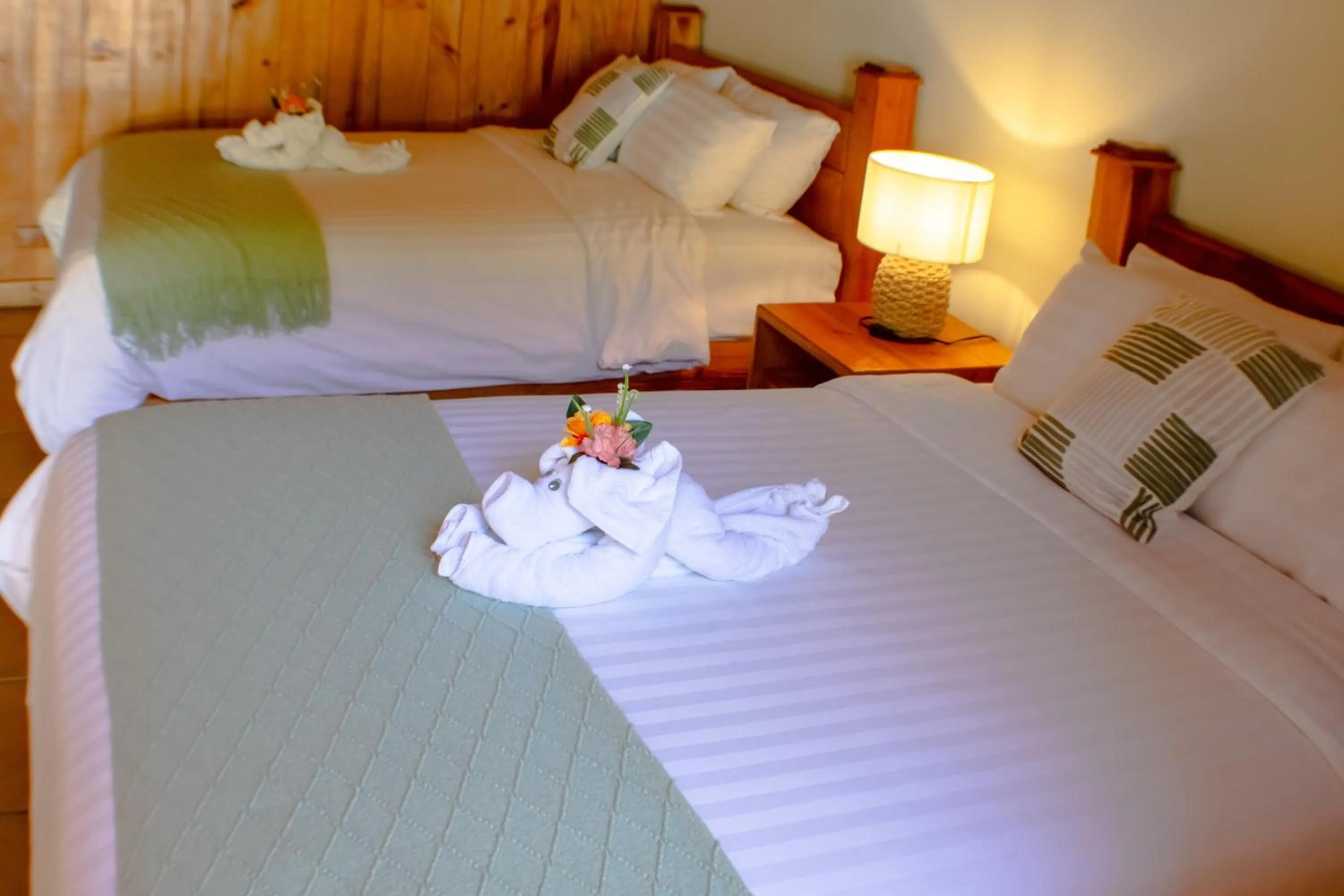 Bed in TREE TREK BOQUETE Adventure Park