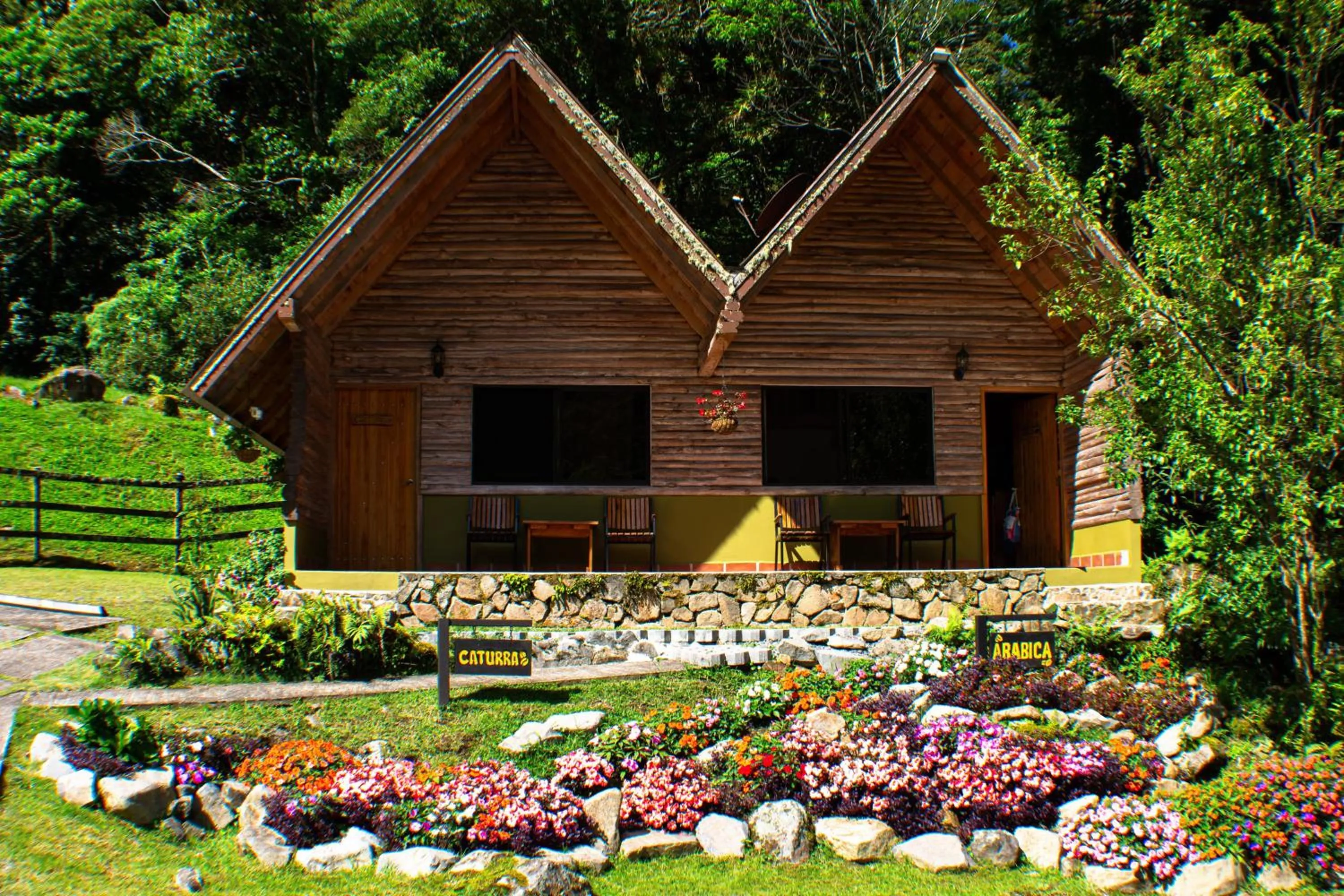 Property building in TREE TREK BOQUETE Adventure Park