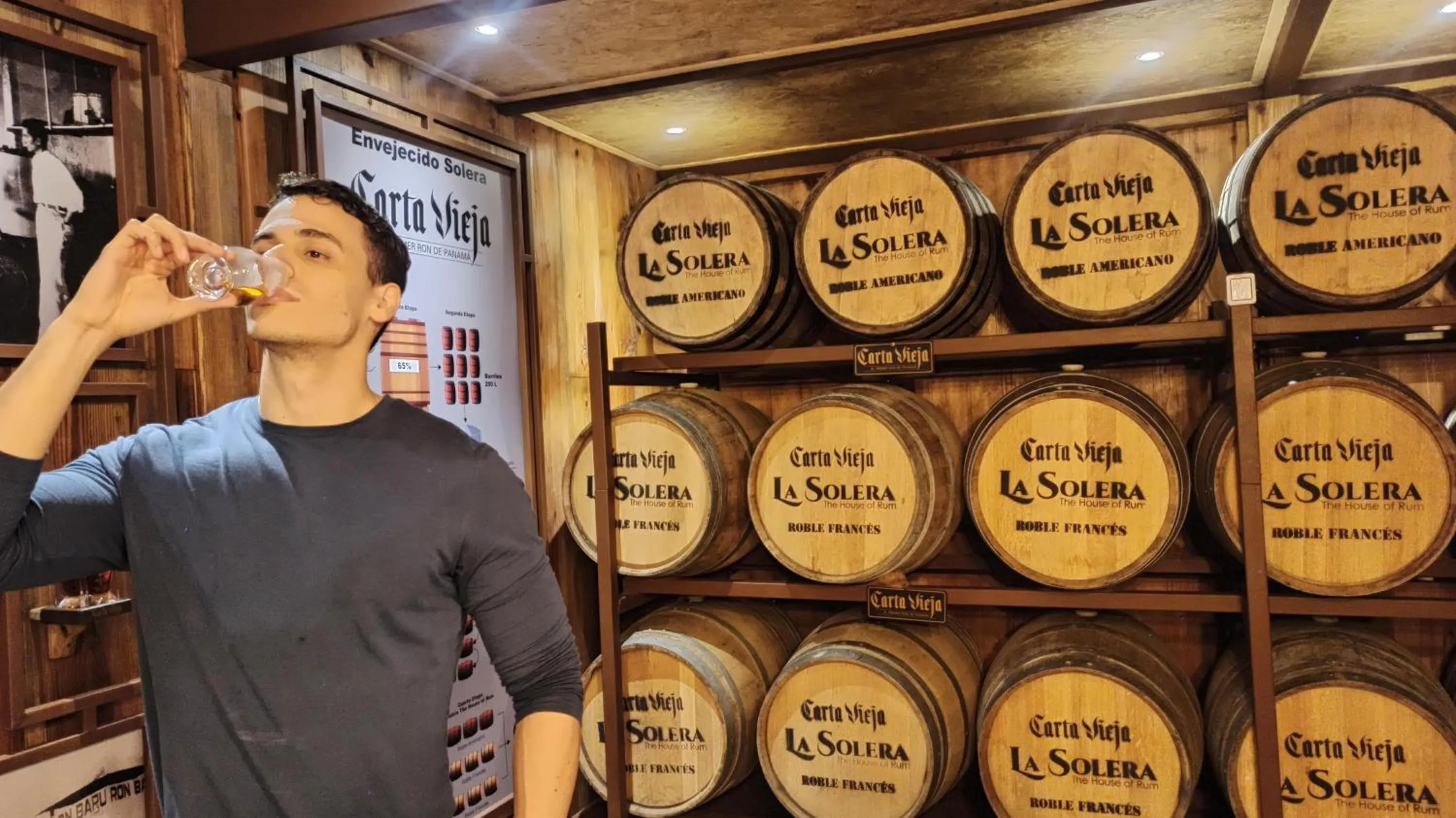 Activities in TREE TREK BOQUETE Adventure Park