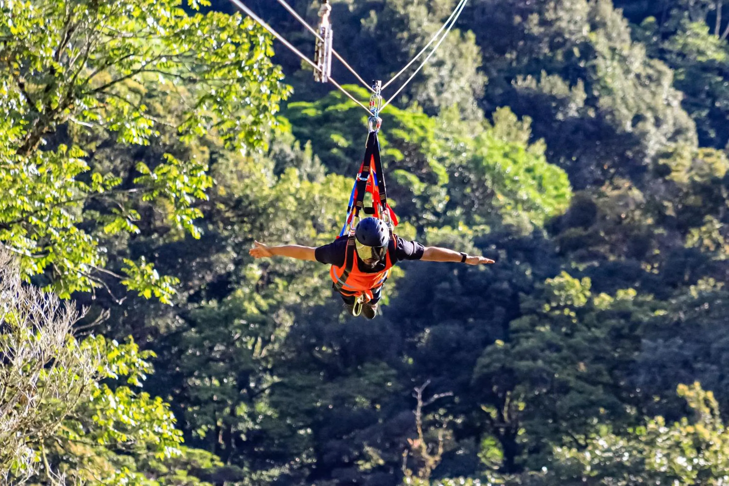 Activities in TREE TREK BOQUETE Adventure Park