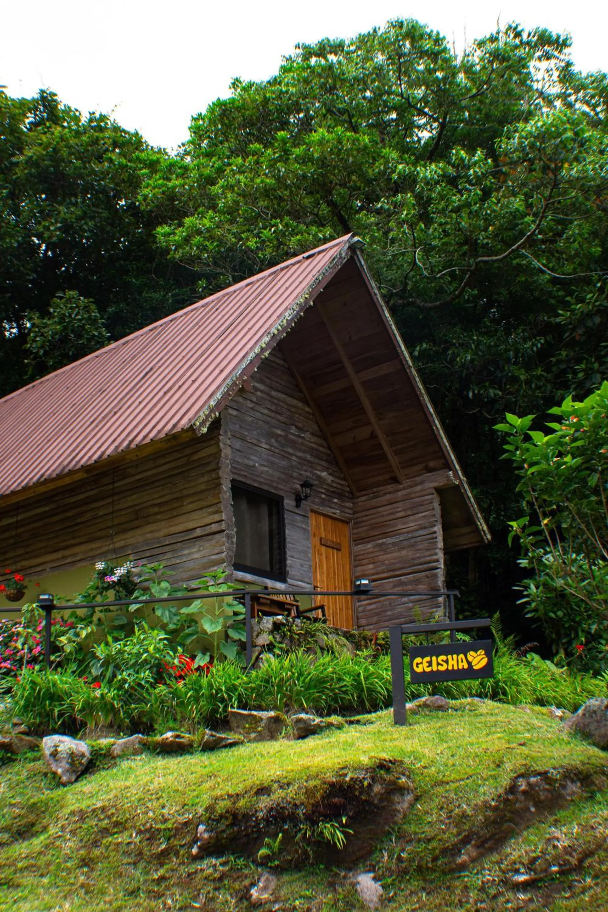 Property building in TREE TREK BOQUETE Adventure Park