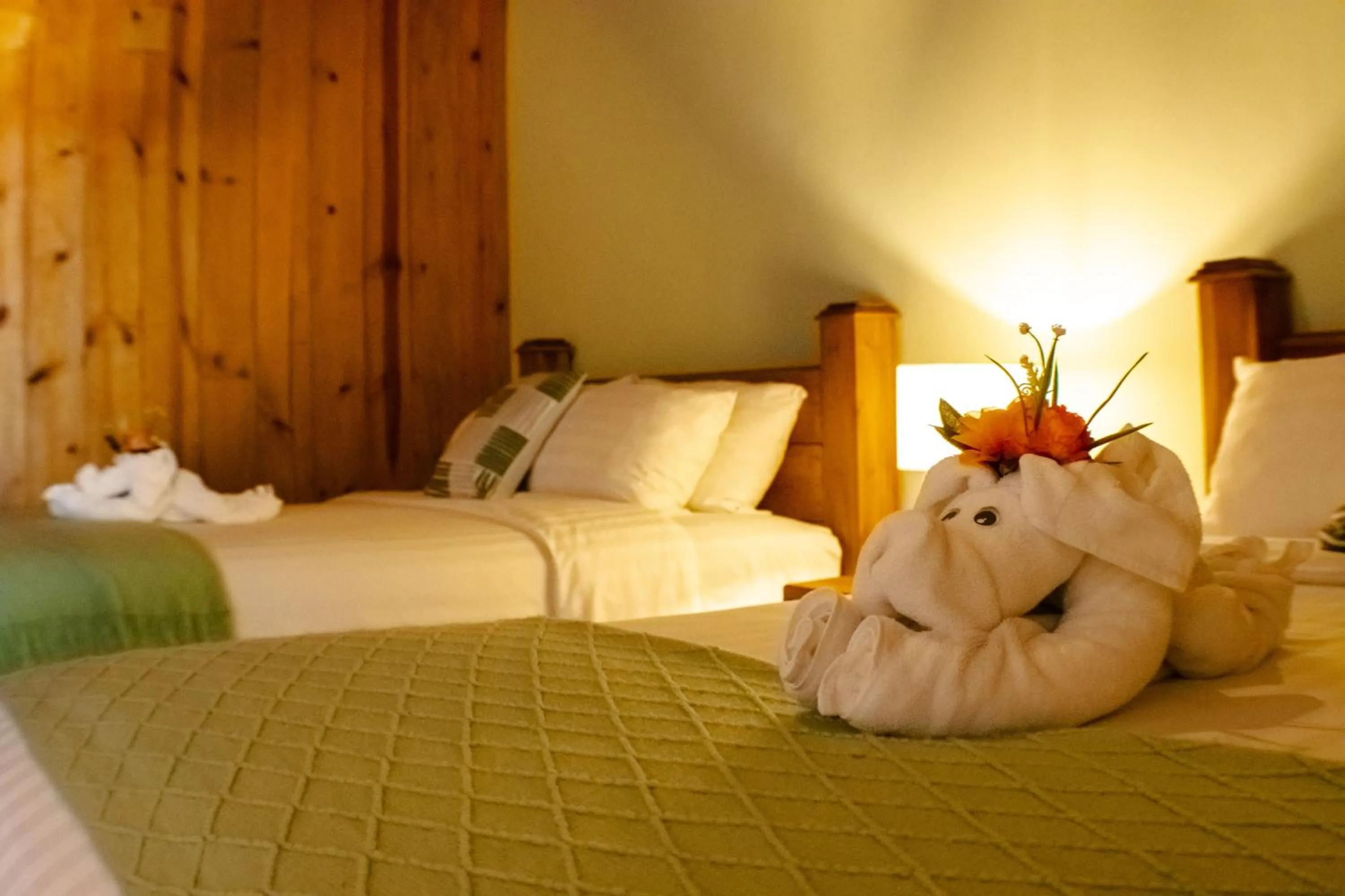 Bedroom, Bed in TREE TREK BOQUETE Adventure Park