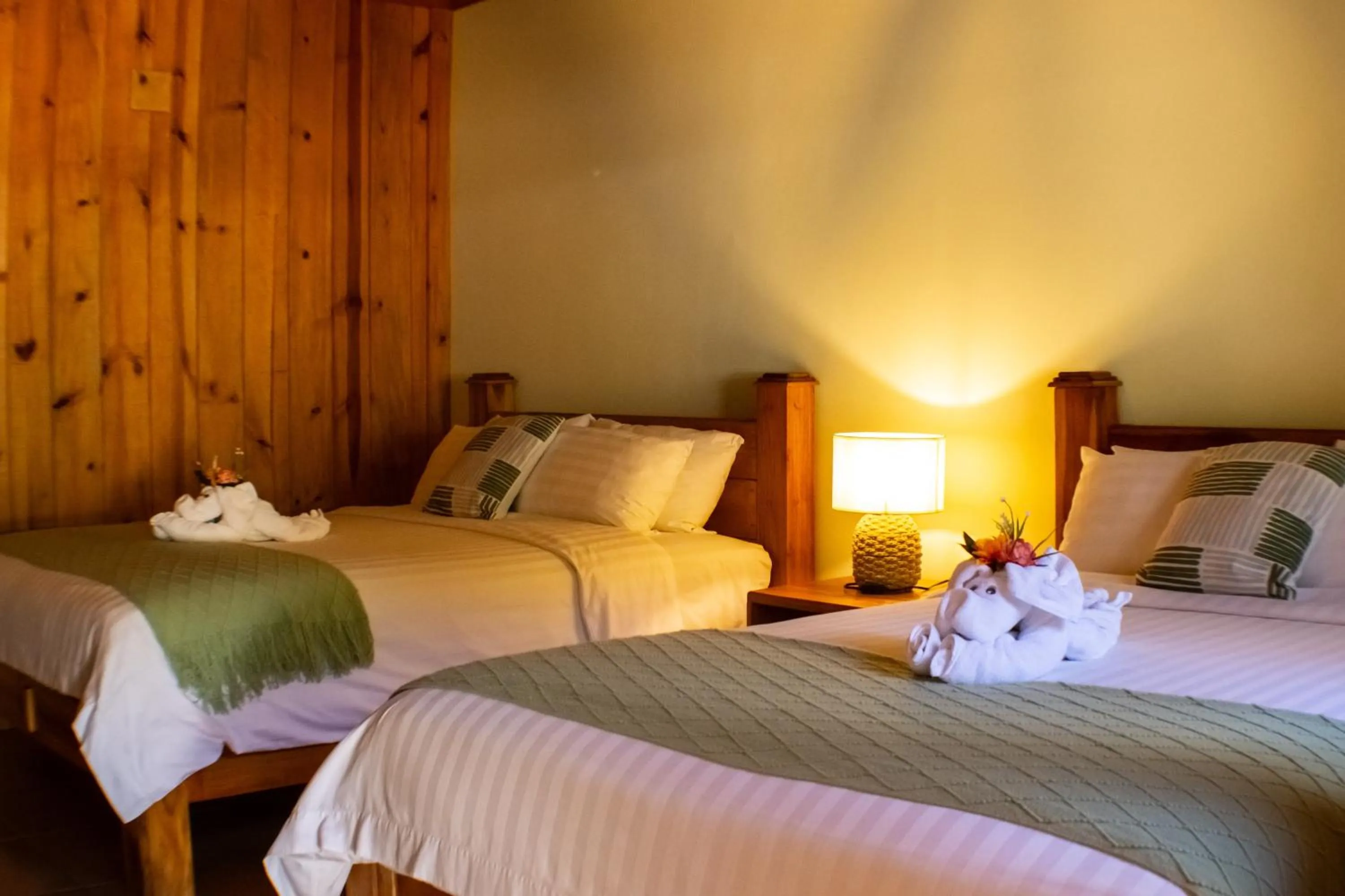 Bed in TREE TREK BOQUETE Adventure Park