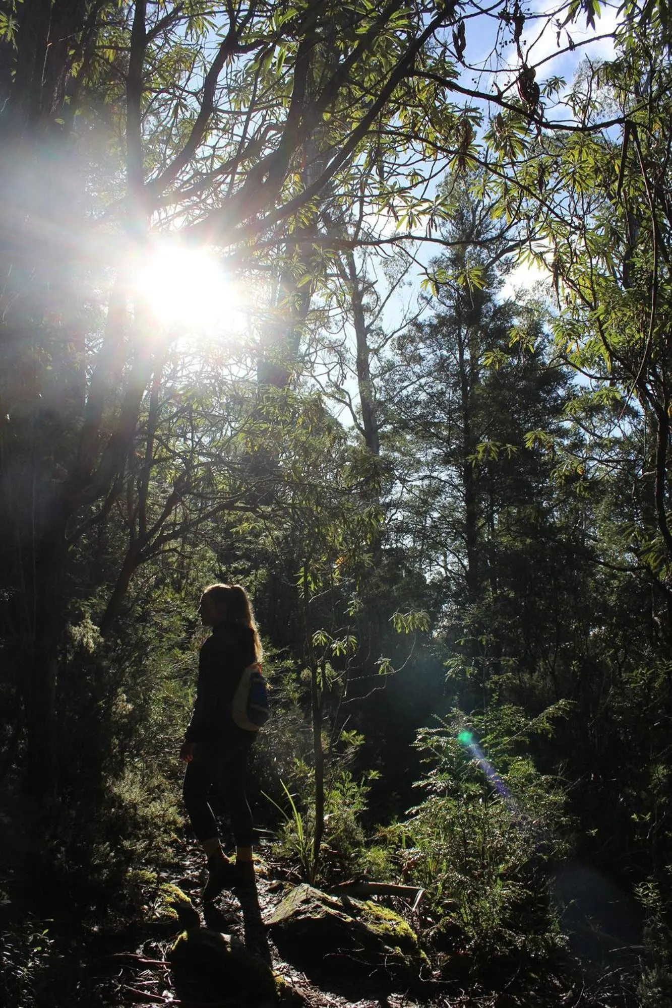 Hiking in The Empire Hotel Deloraine
