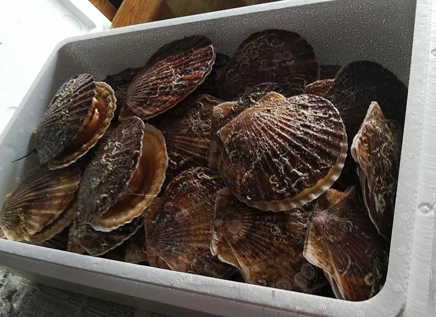 Minshuku Kaikazari Kunnui