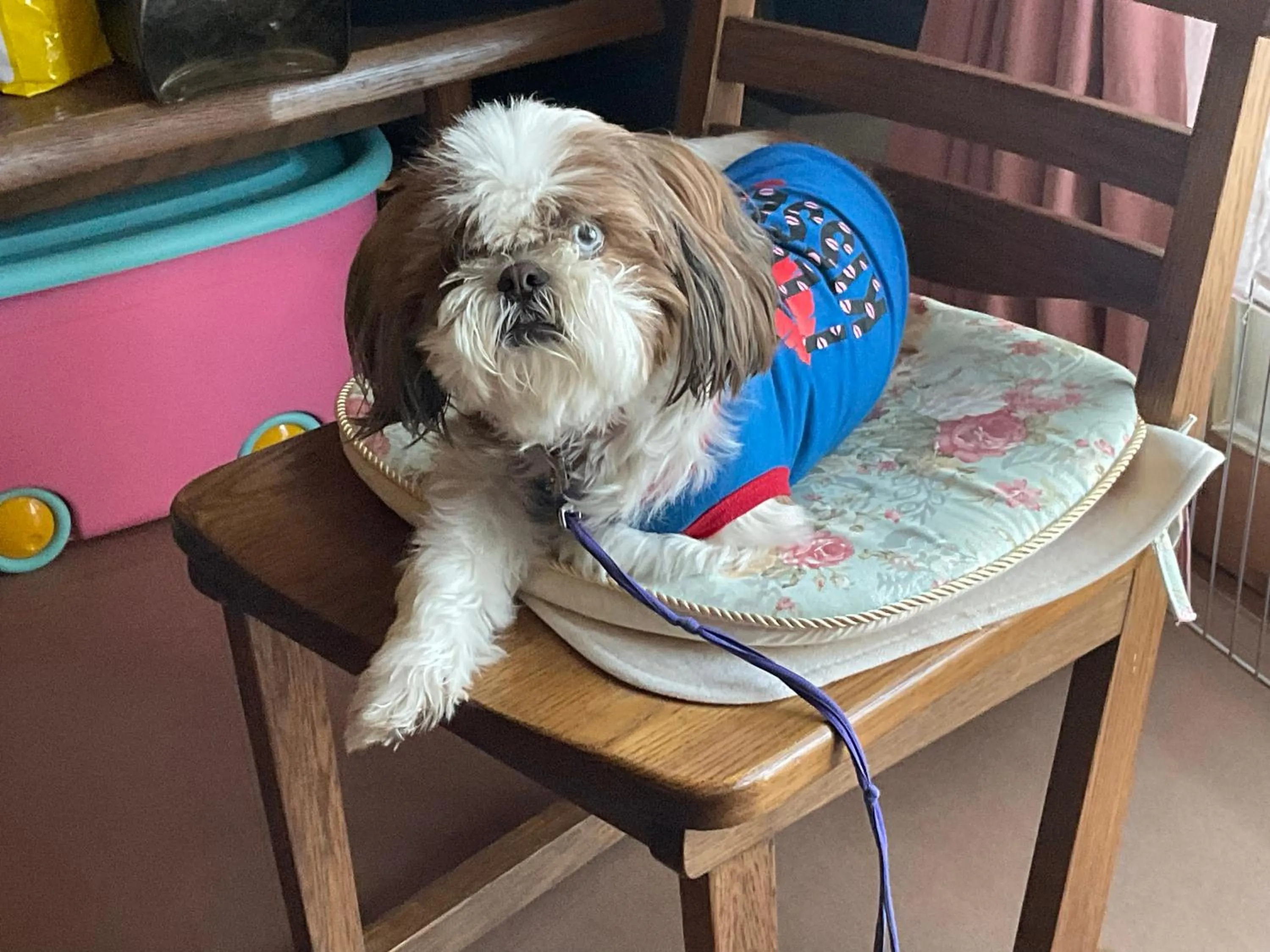 Minshuku Kaikazari Kunnui