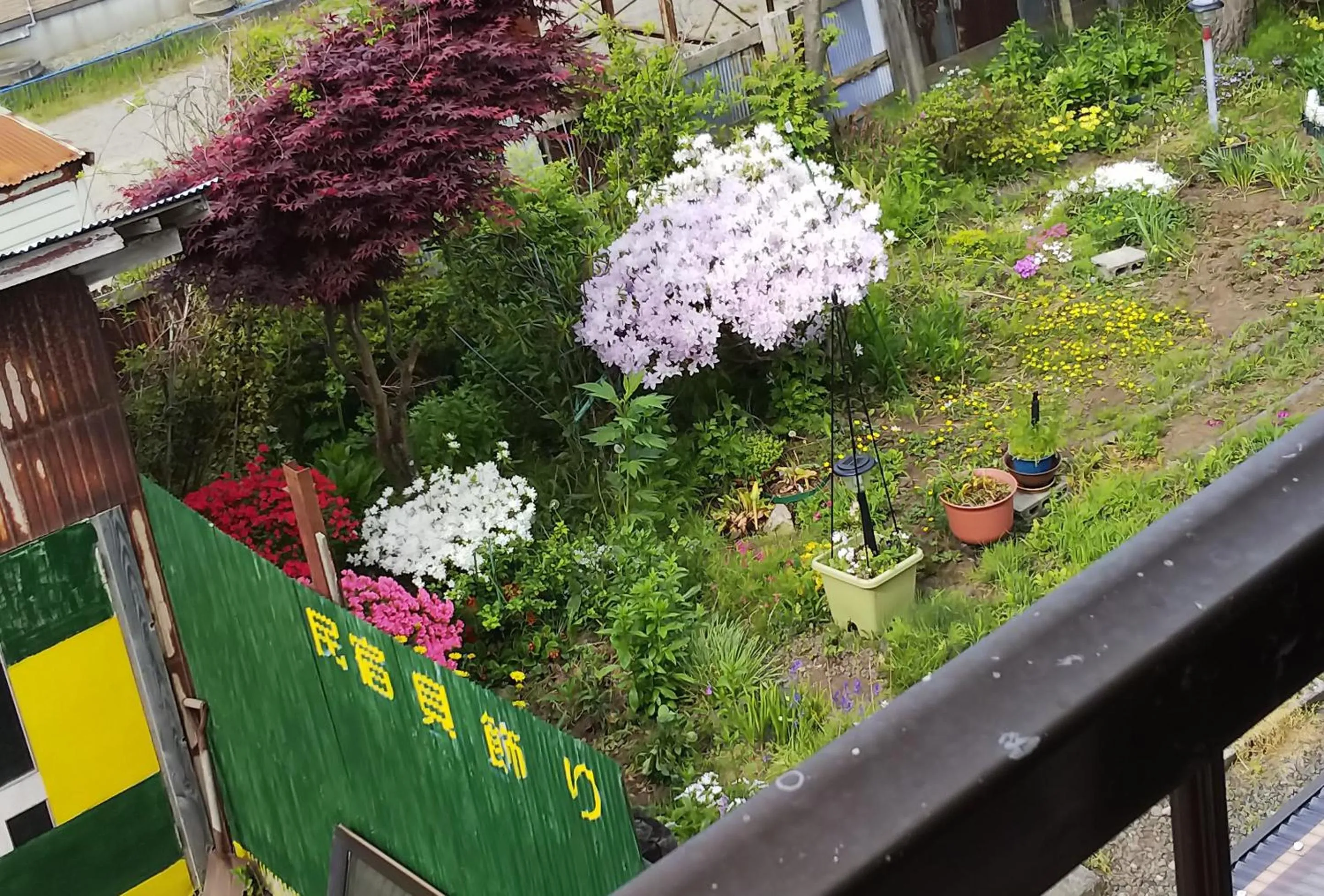 Minshuku Kaikazari Kunnui