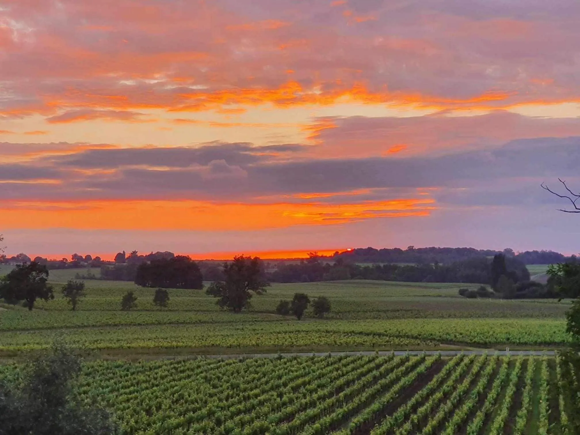 Bird's eye view in Demeures & Château - Fleur de Roques - Puisseguin Saint Emilion