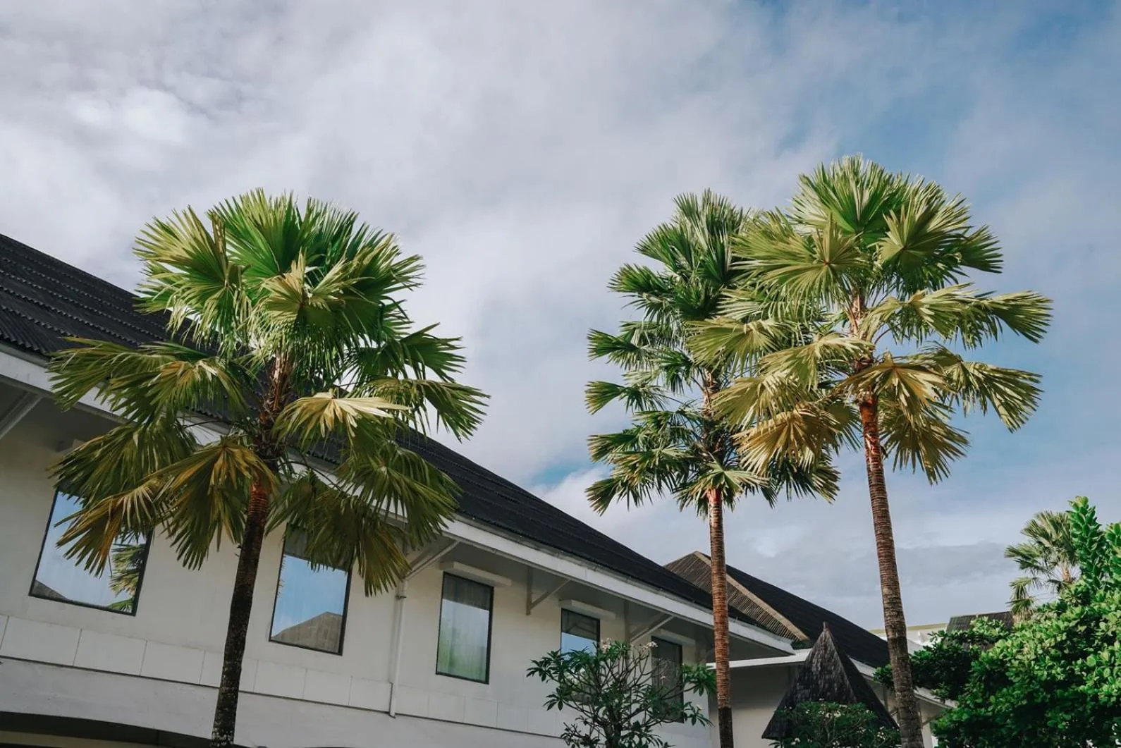 Pool view in Novotel Banjarmasin Airport