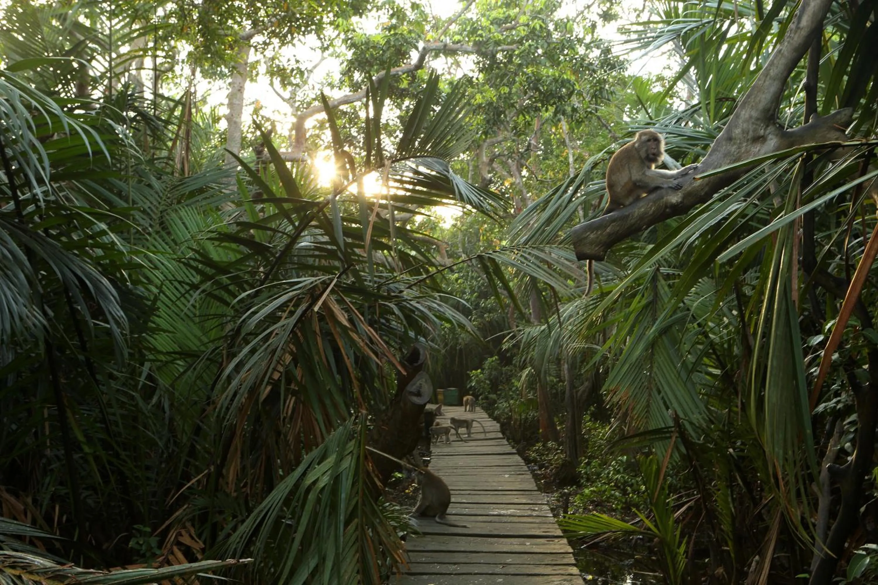 Other in Novotel Banjarmasin Airport