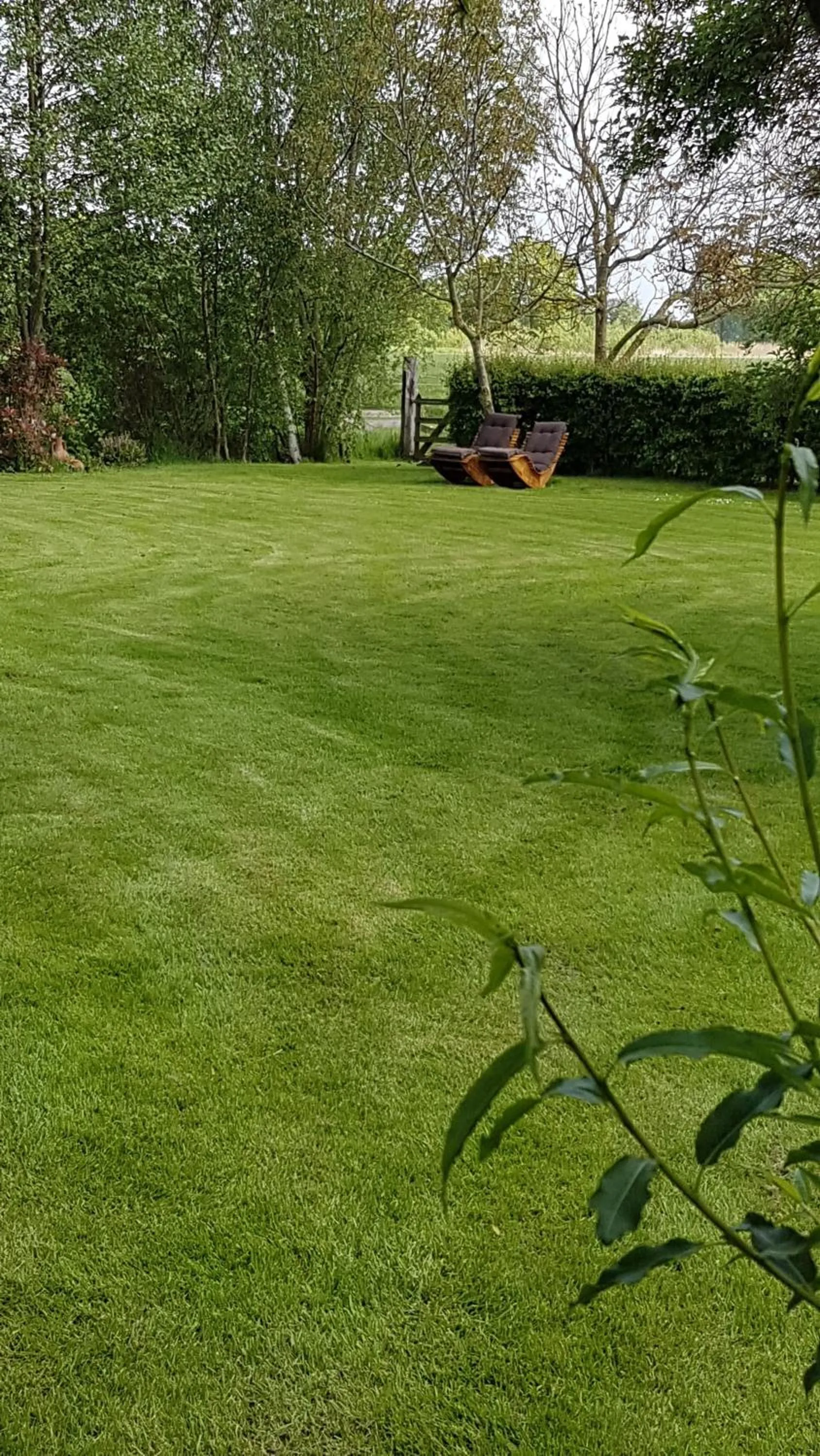 Garden in Bij ons op 20