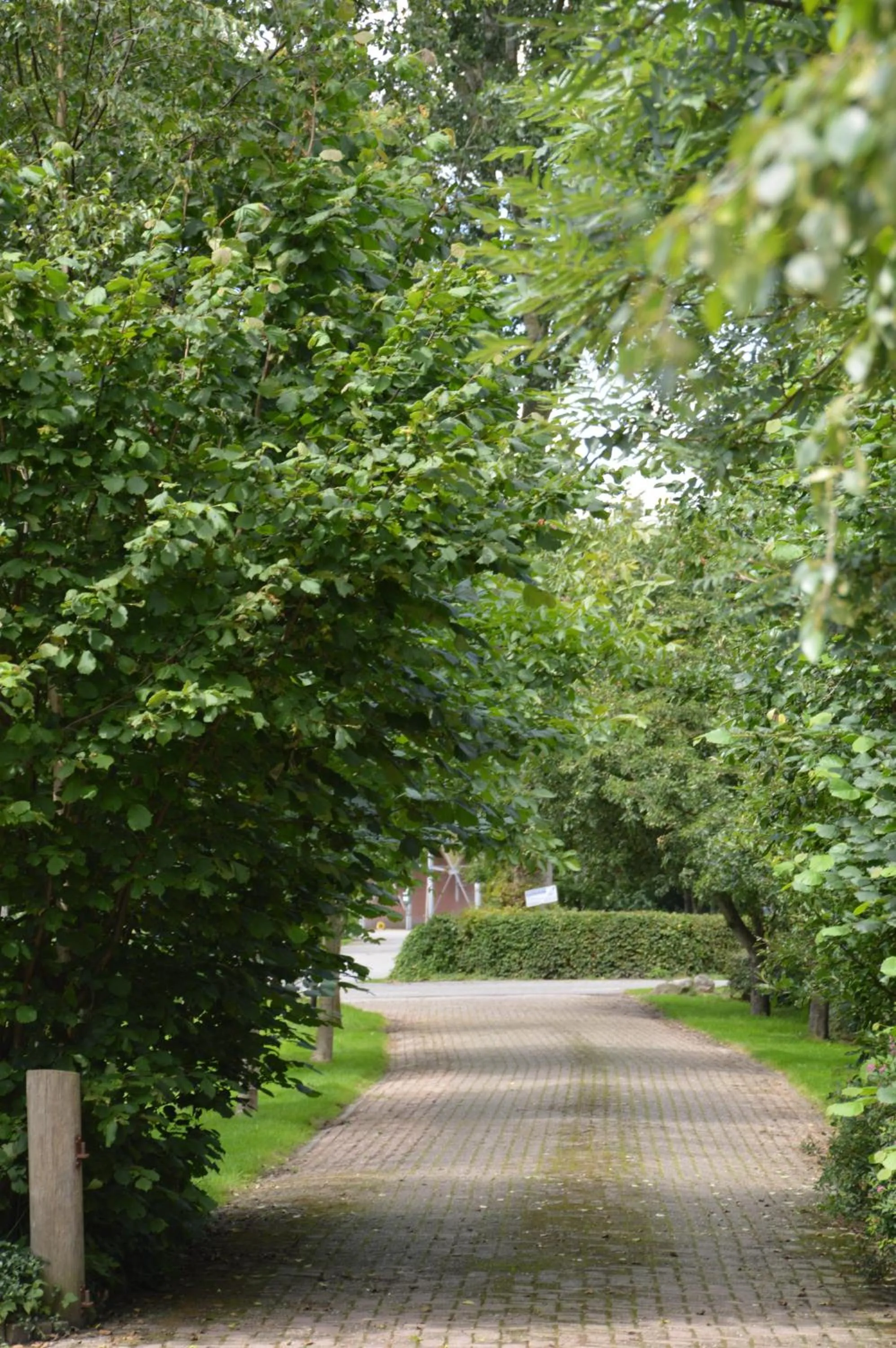 Other in Bij ons op 20