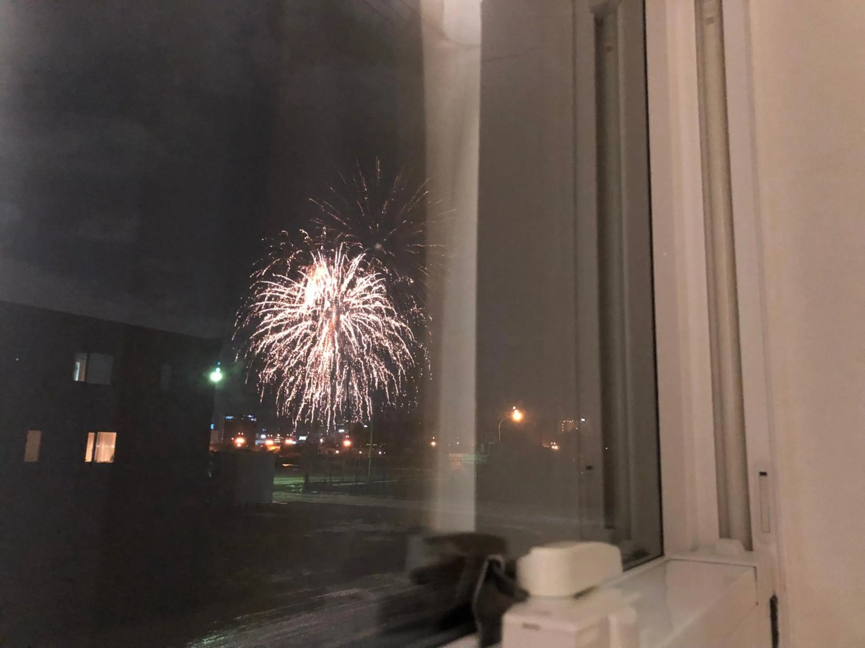 Street view in Bayside