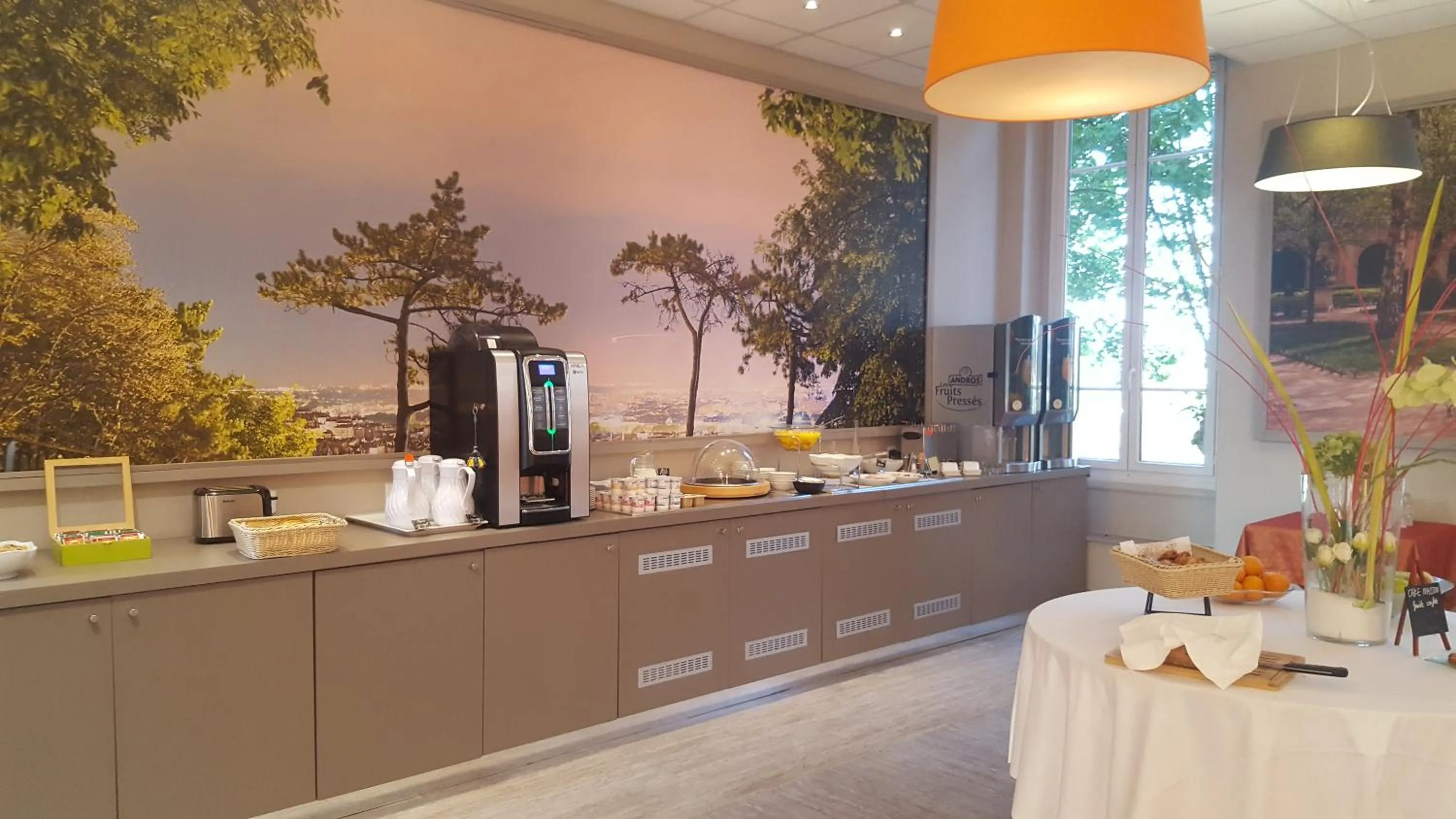 Buffet breakfast in Domaine Lyon Saint Joseph