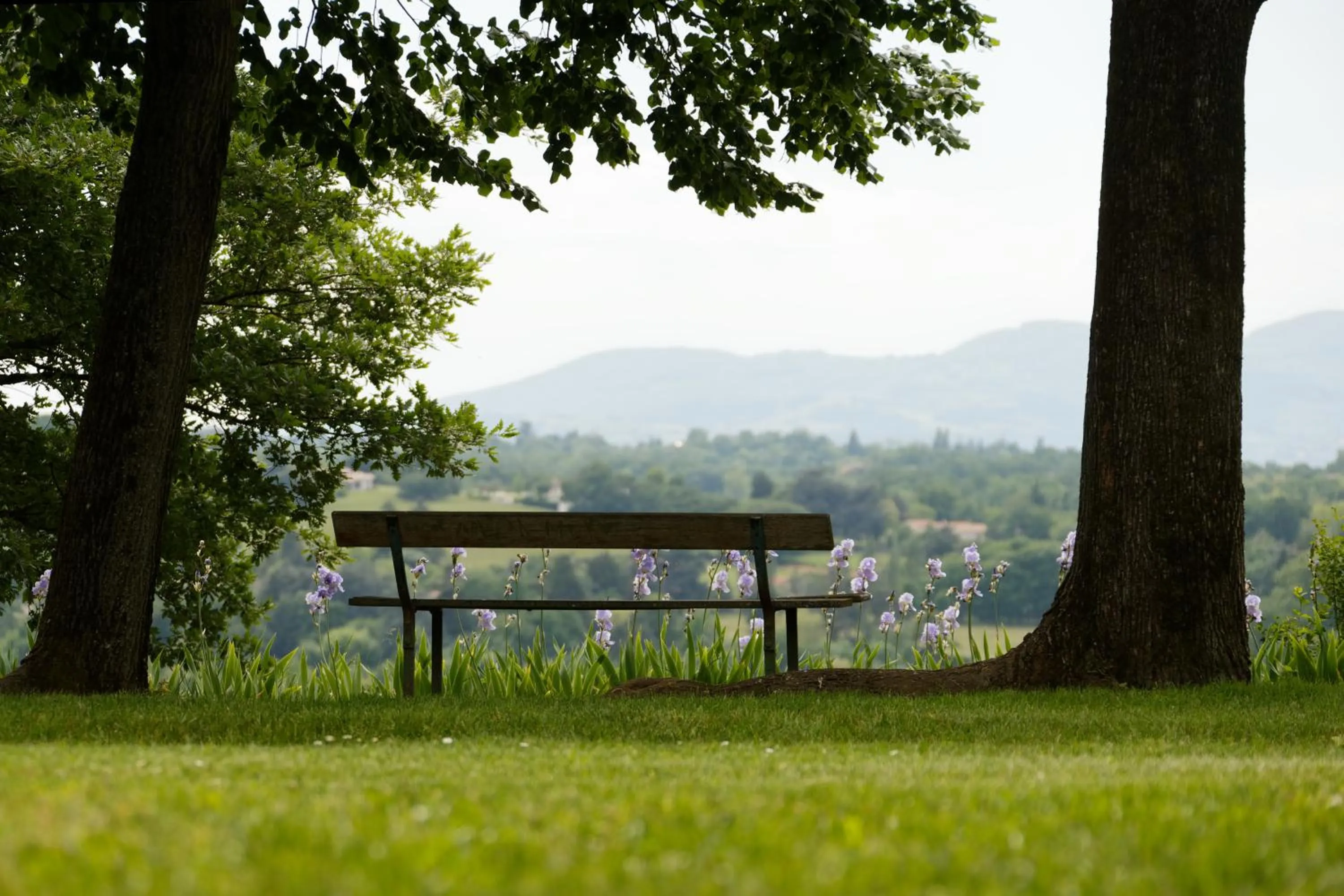 Garden in Domaine Lyon Saint Joseph
