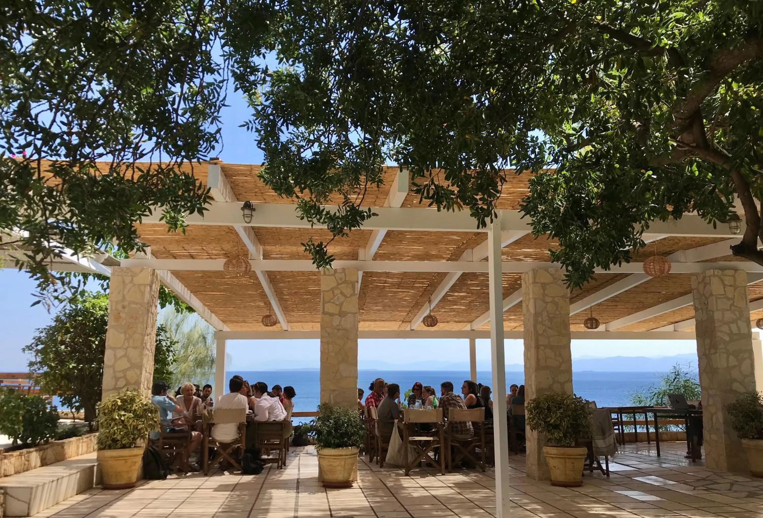 Garden in Hotel Cokkinis