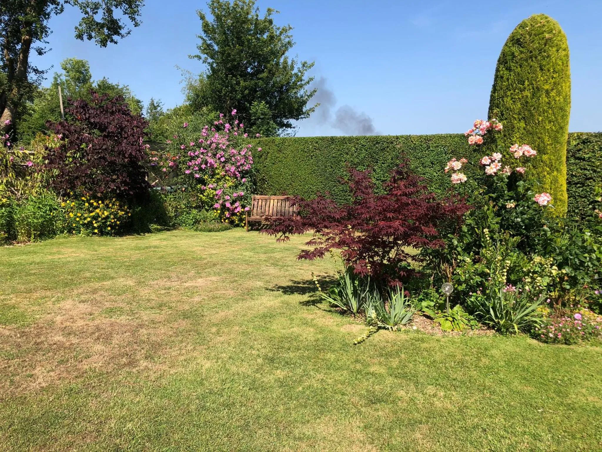 Garden in Trumbles Gatwick B&B