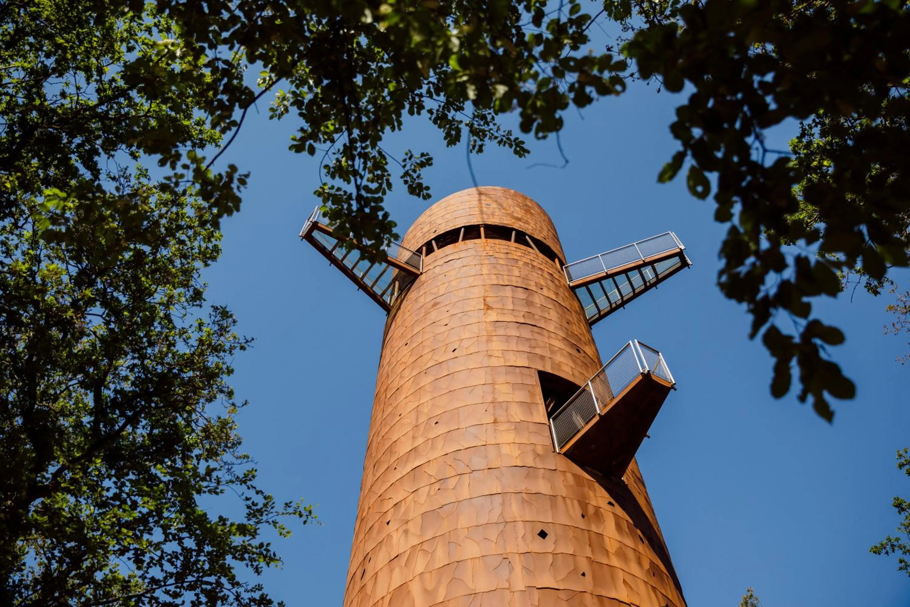 Nearby landmark in RCN Vakantiepark de Roggeberg