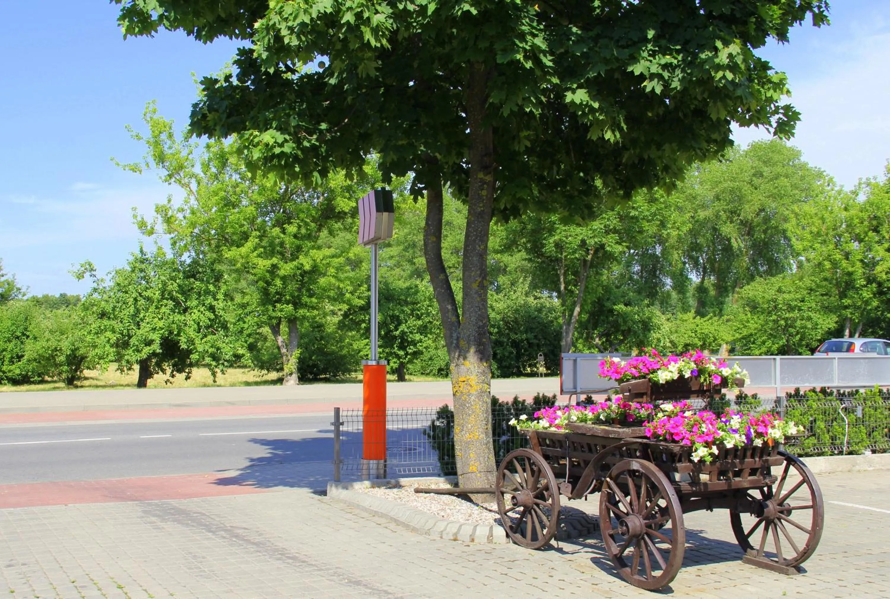 Area and facilities in Info Hotel