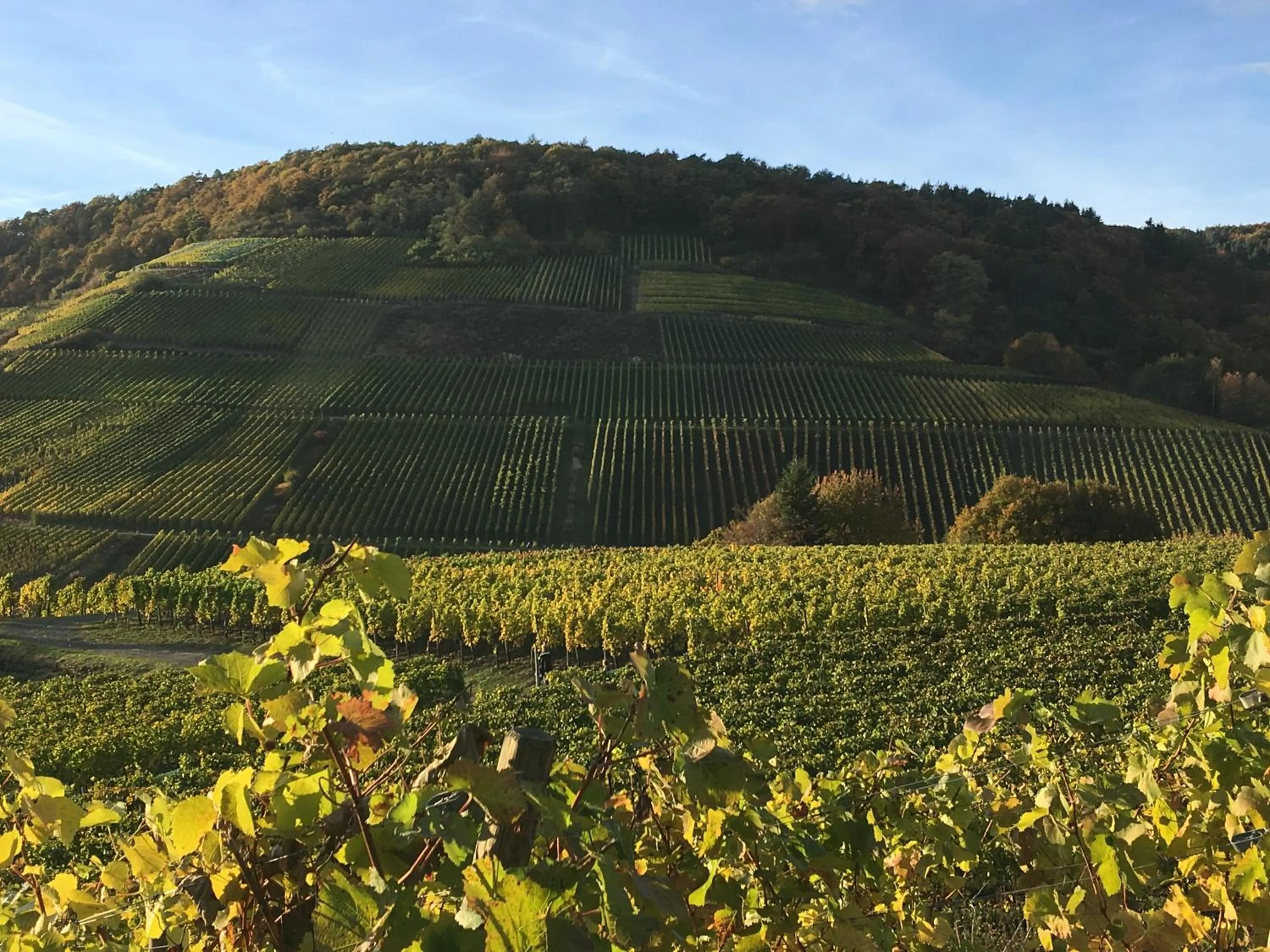 Neighbourhood in StadtHotel ARTE