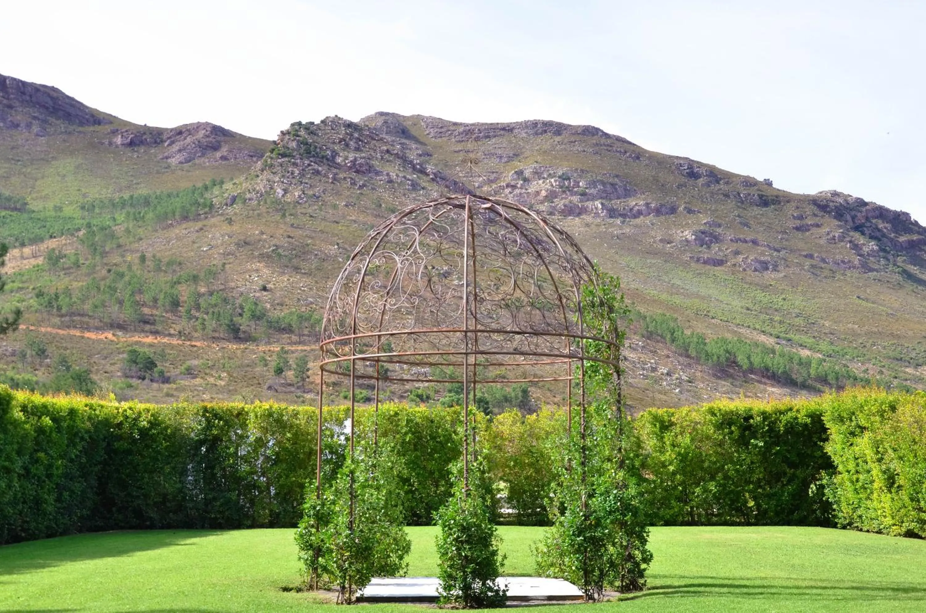 Natural landscape in La Paris Estate