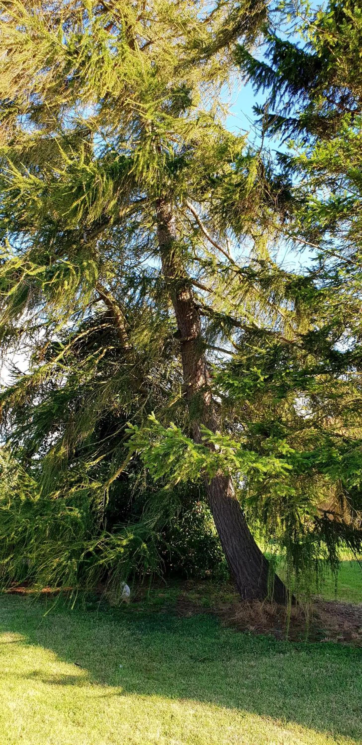 Area and facilities in The Vine B & B