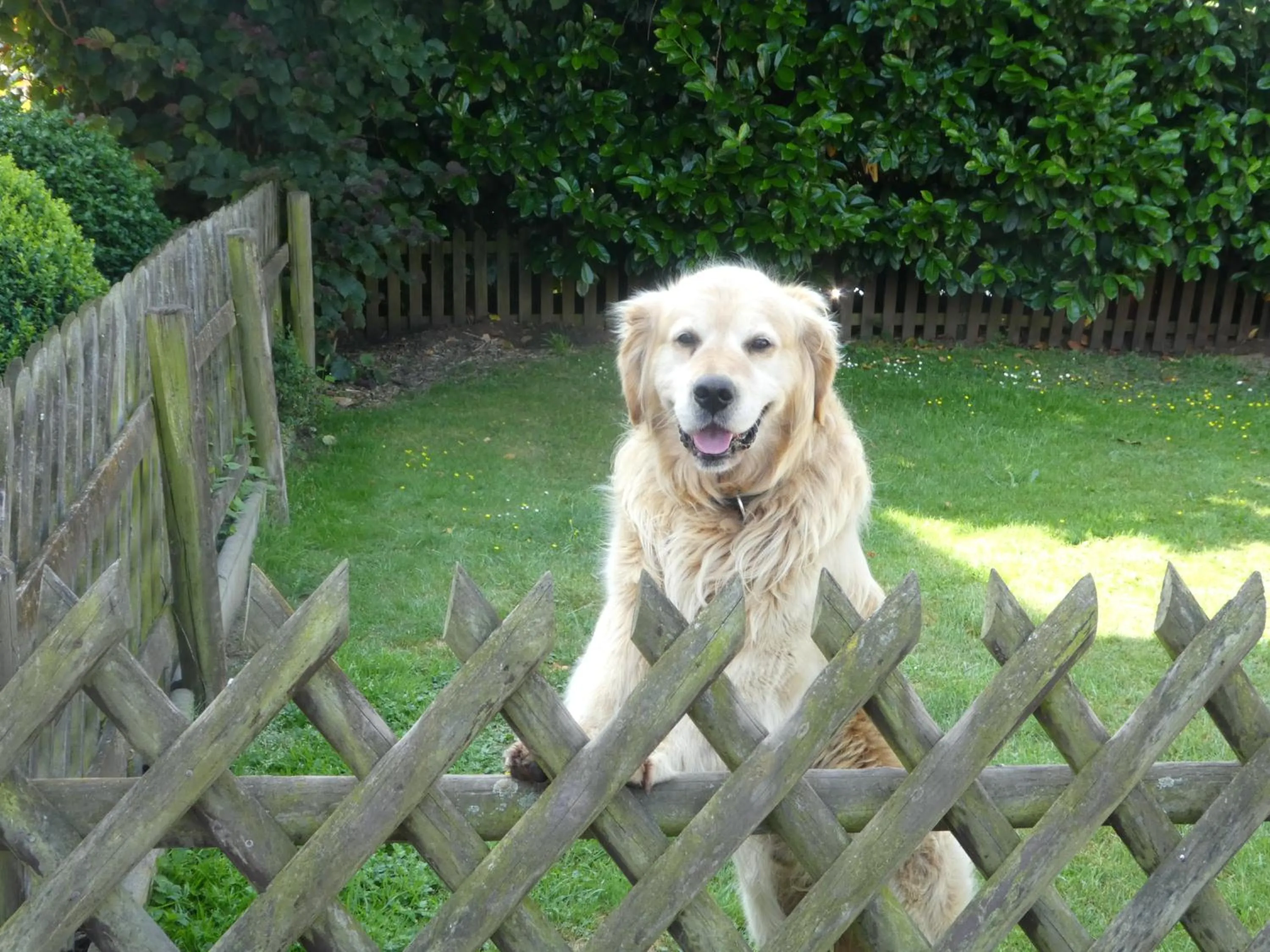 Staff in Gasthof zur Querenburg