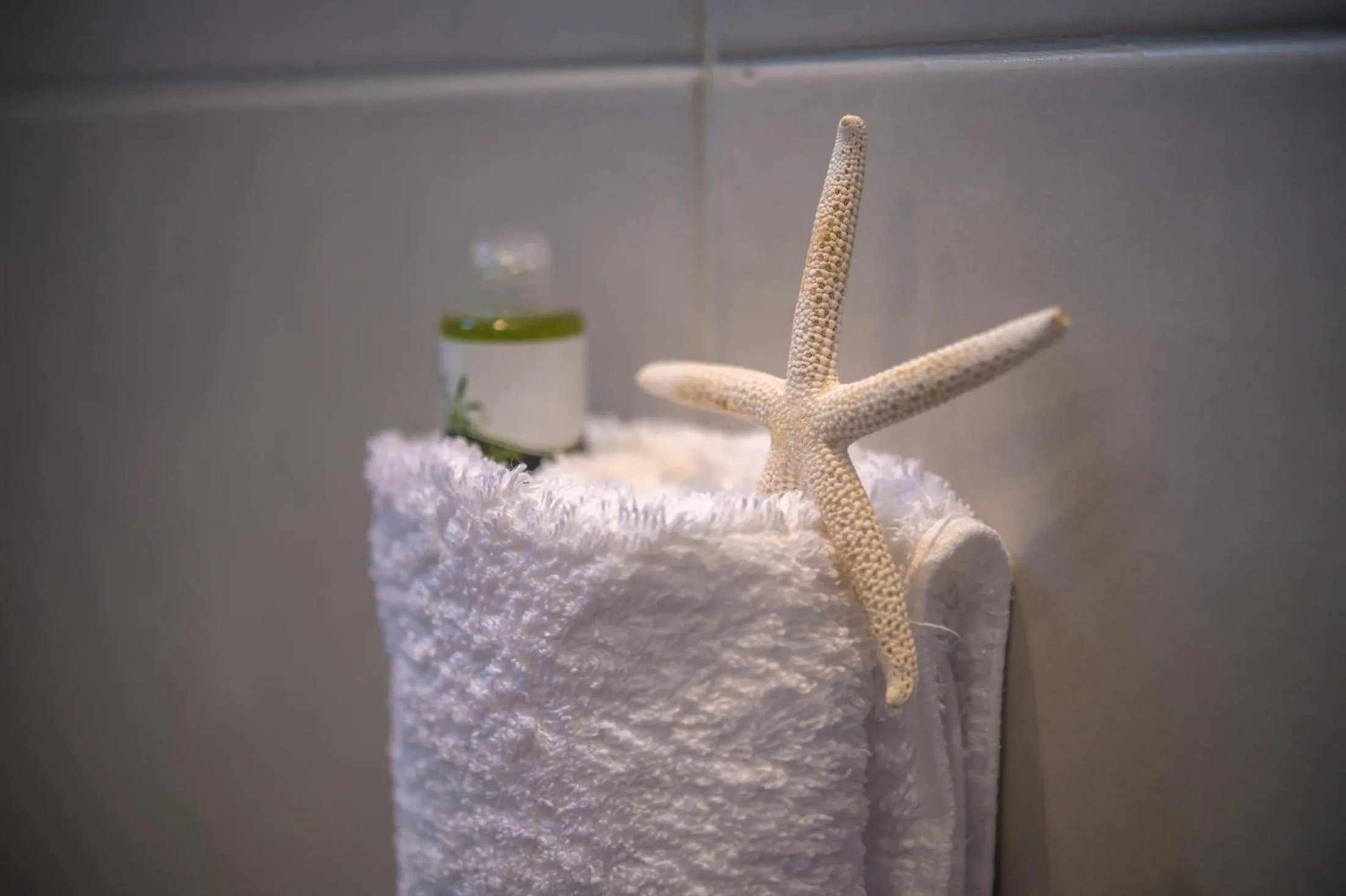 Decorative detail in Aphrodite Studios