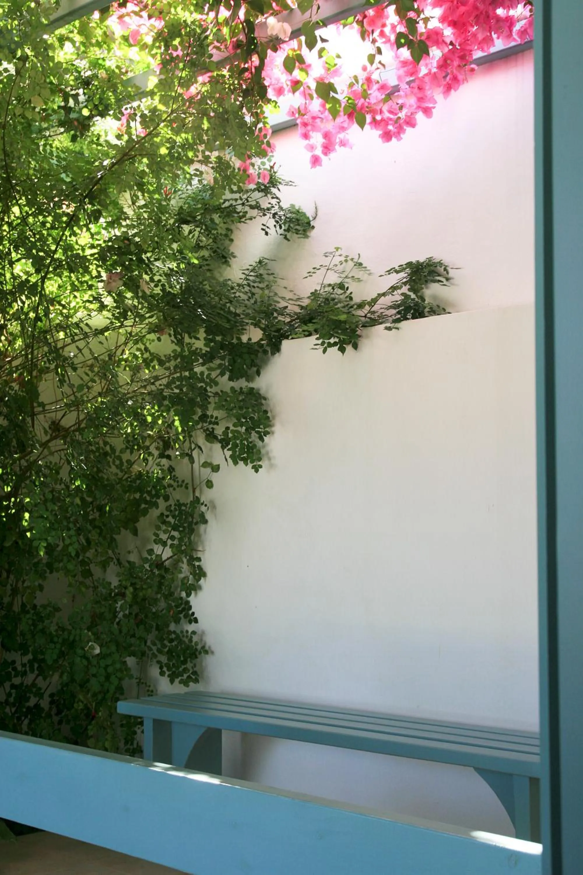 Garden in Aphrodite Studios