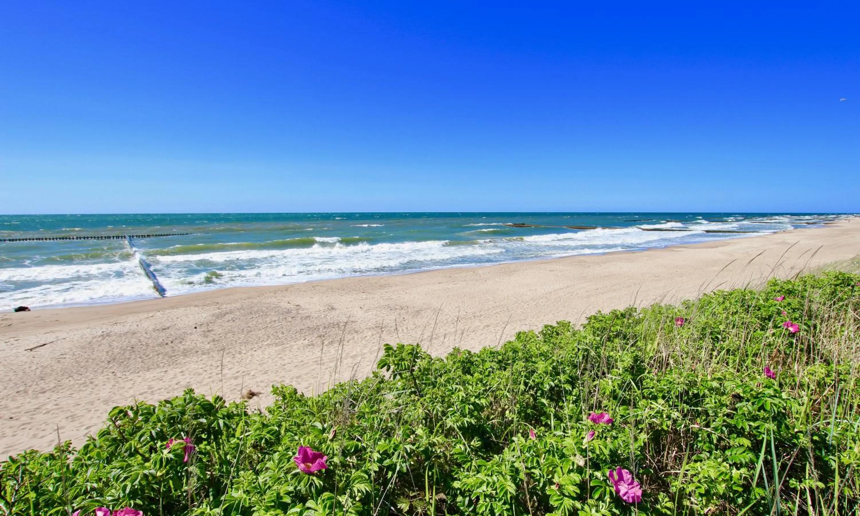 Natural landscape in Marina Royale Darłowo - Apartamenty Ultra Mar nad morzem