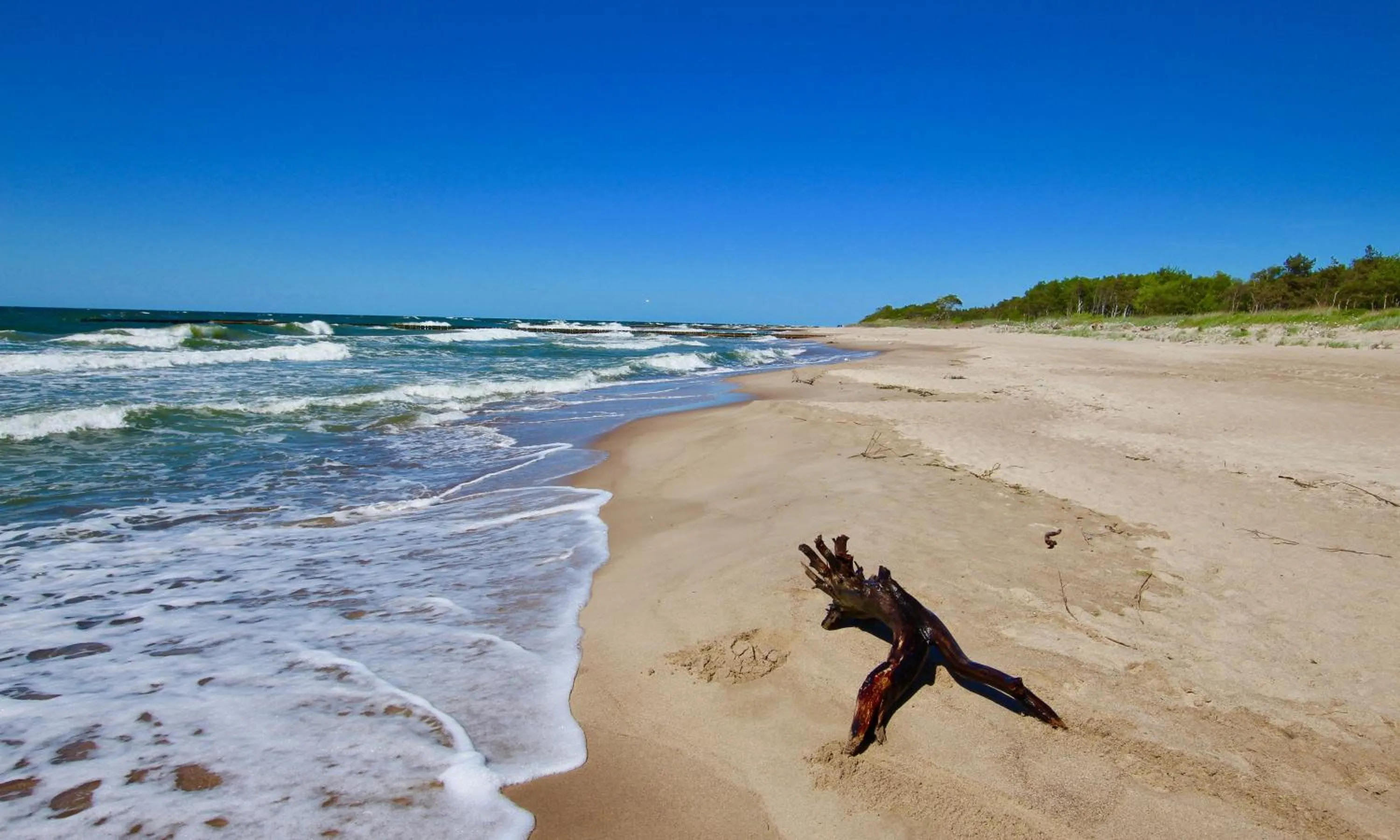 Beach in Marina Royale Darłowo - Apartamenty Ultra Mar nad morzem