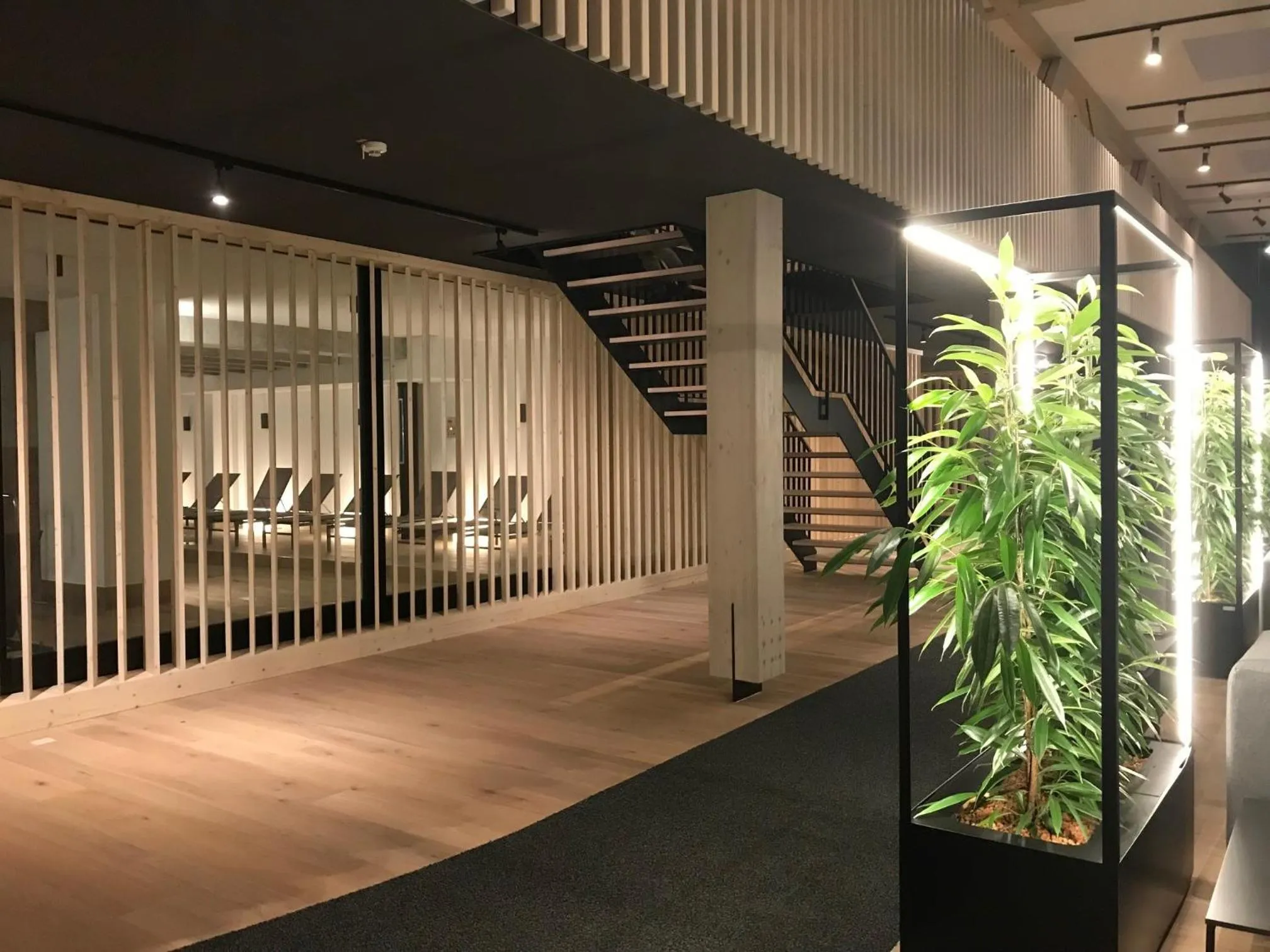 Communal lounge/ TV room in Mariandl am Meer