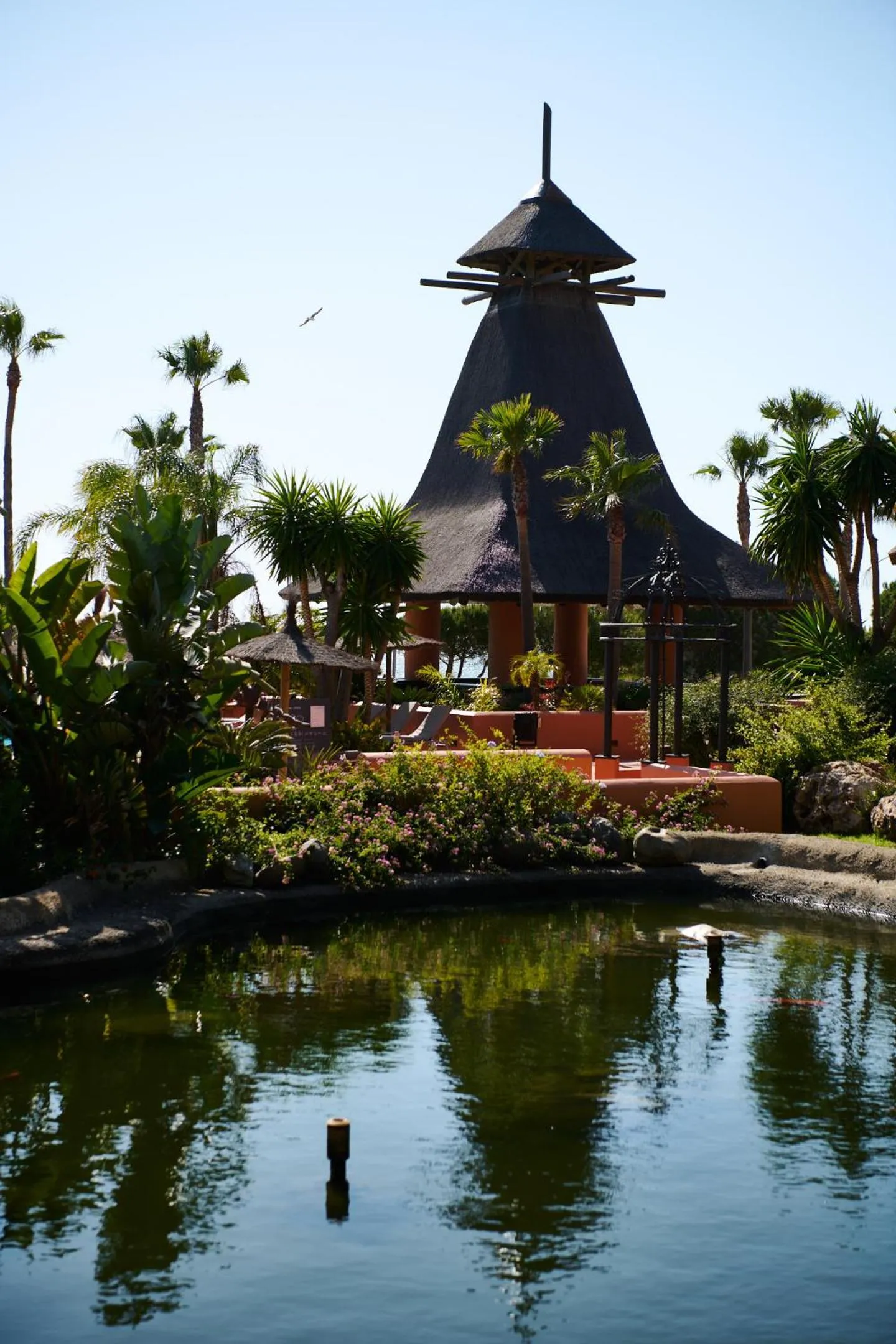 Garden in Aparthotel Novo Resort