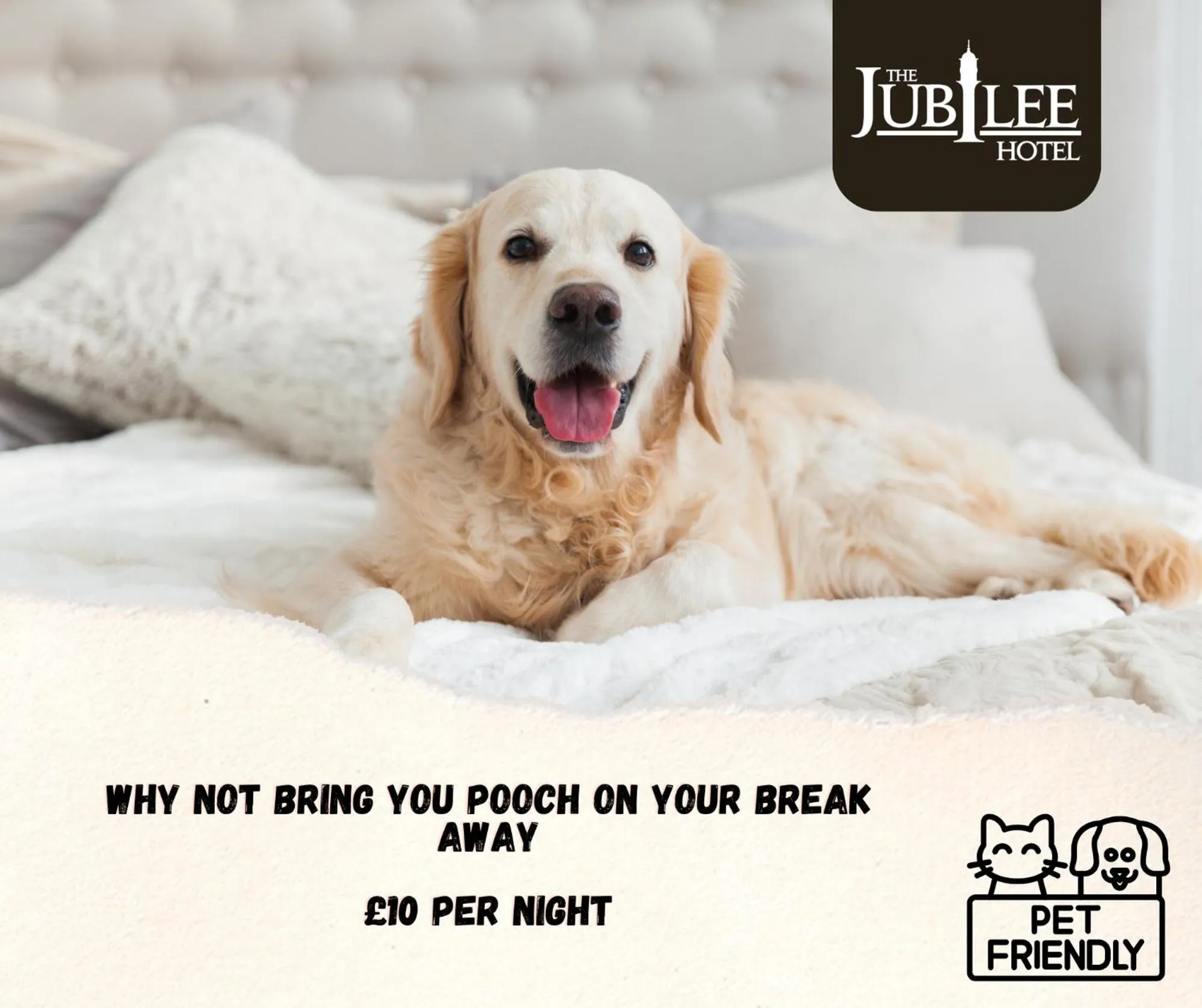 Pets in The Jubilee Hotel East - with NEWLY REFURBISHED SPA FACILITIES - GAMESPIT - AND SMOKEHOUSE