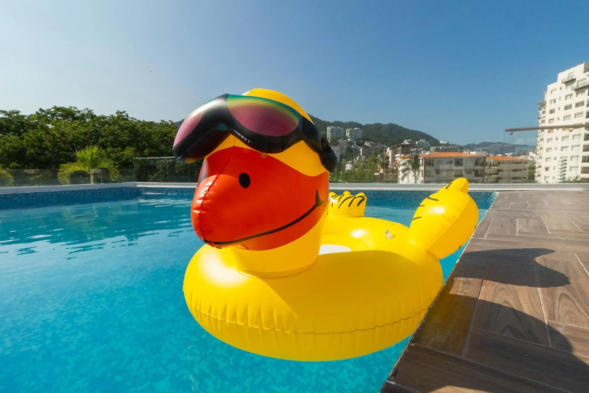 Swimming pool in Hotel Encino Malecón Centro Puerto Vallarta