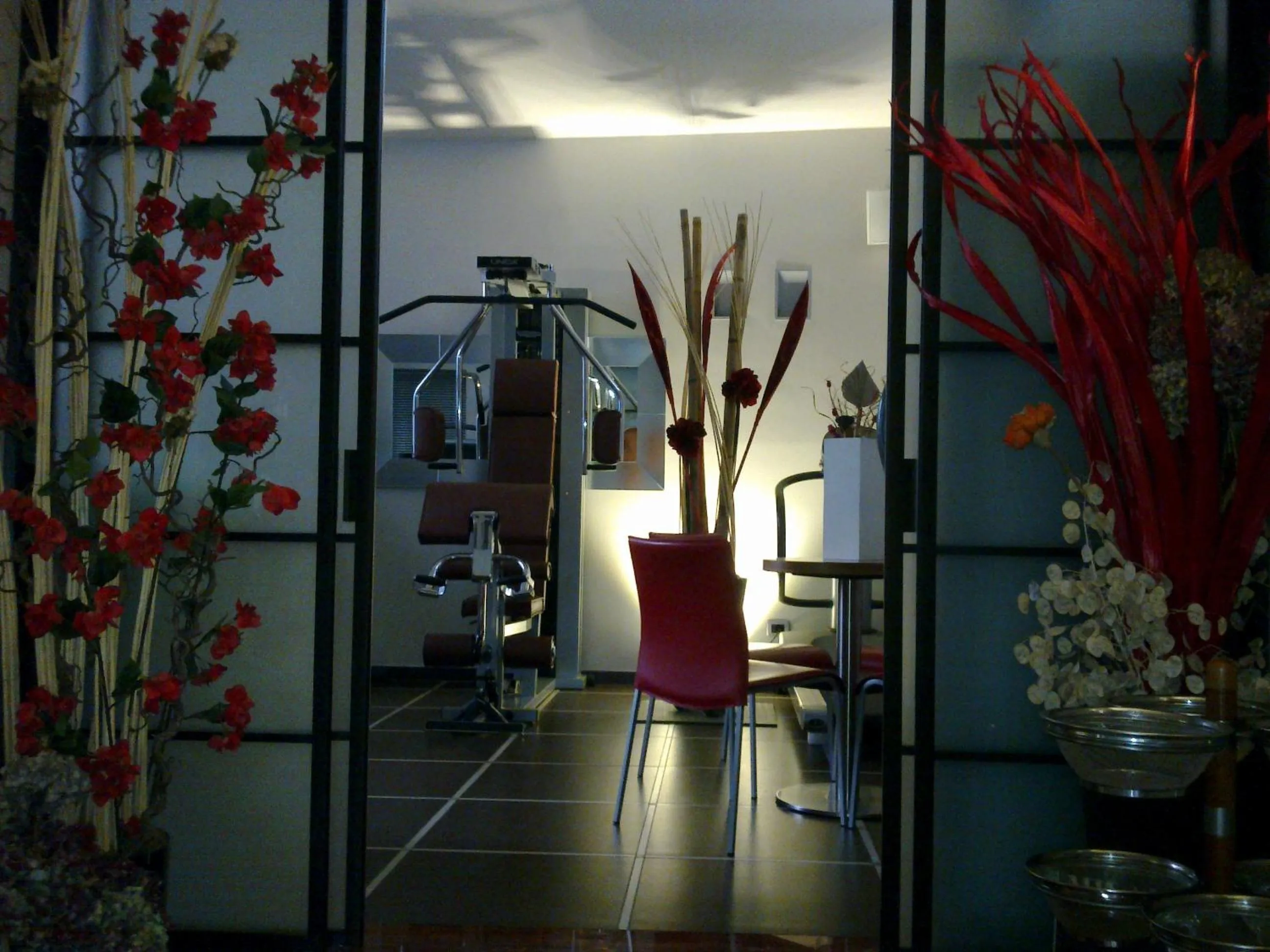 Fitness centre/facilities in Hotel Susa