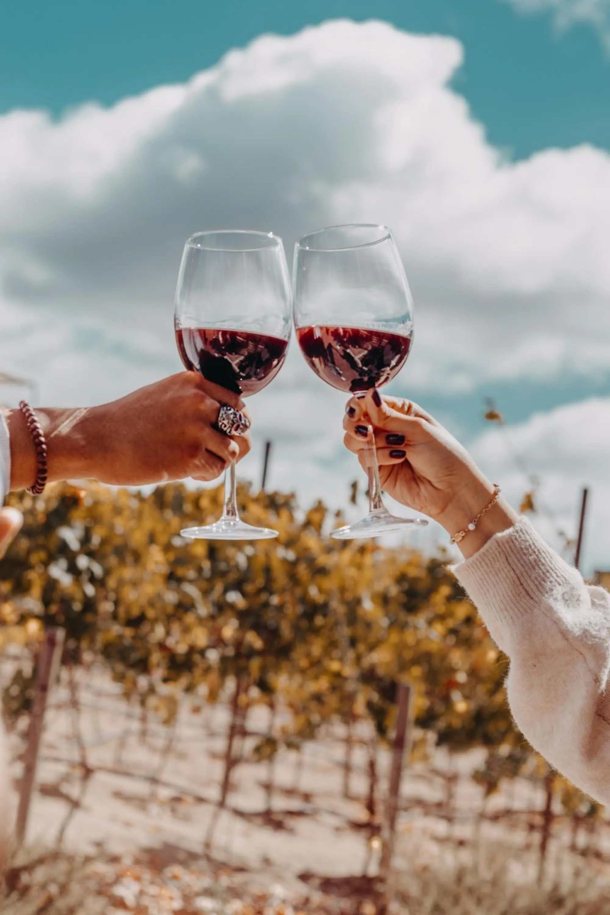 Guests in Contemplacion Resort & Spa