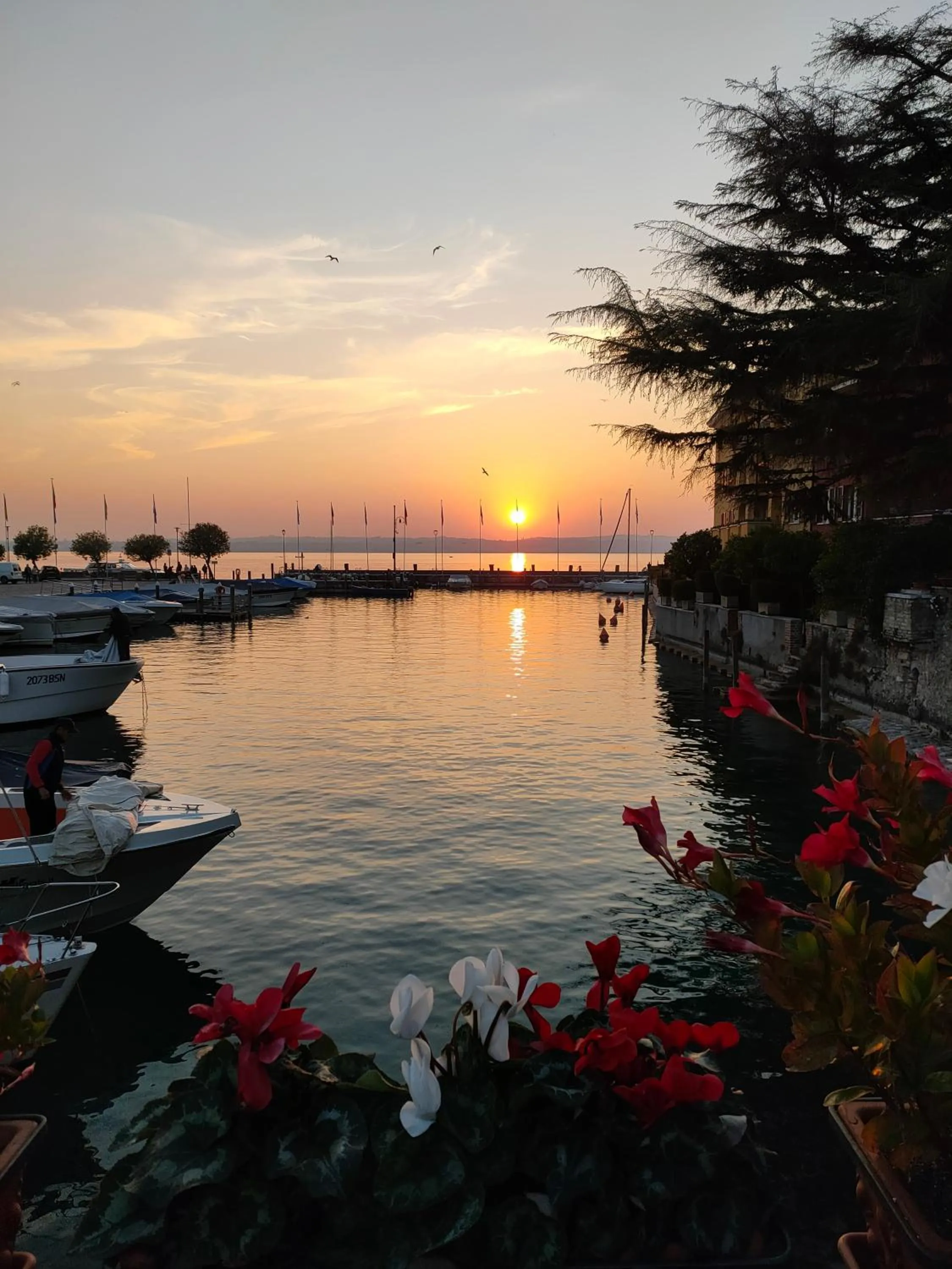 Luxury Suite Sirmione