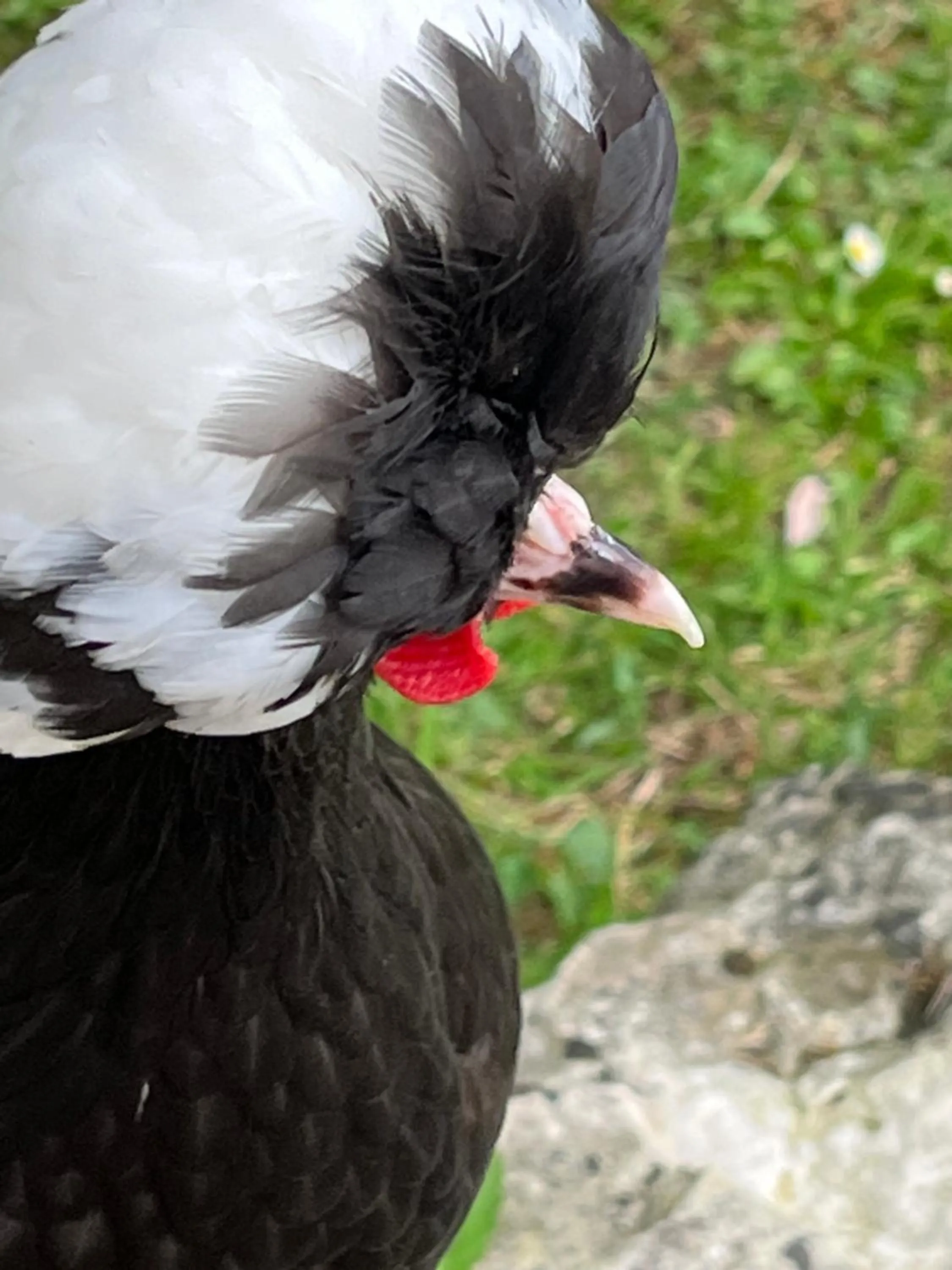 Les Bruyeres Chambres dhotes et Gite