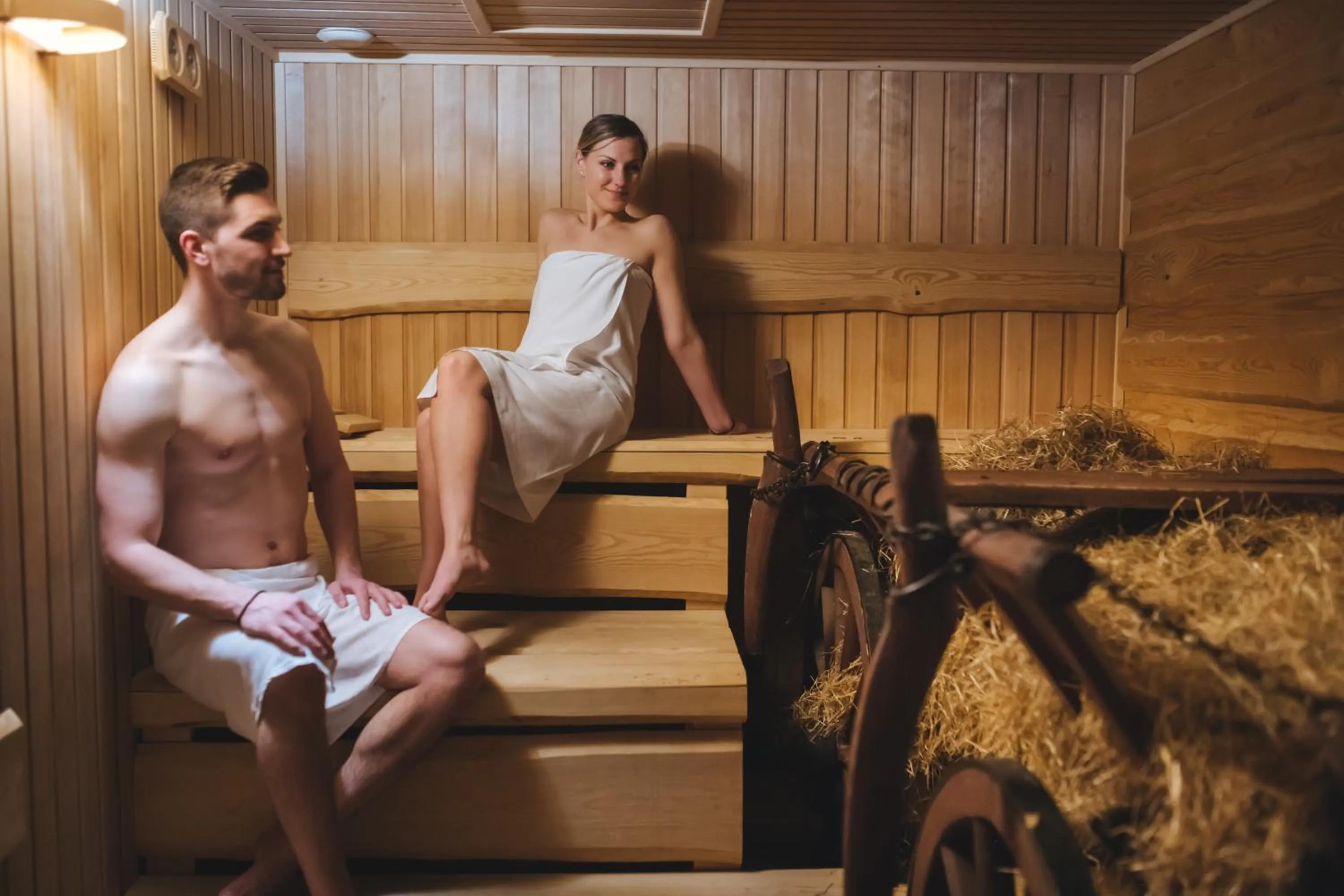 Sauna in Imola Hotel Platán