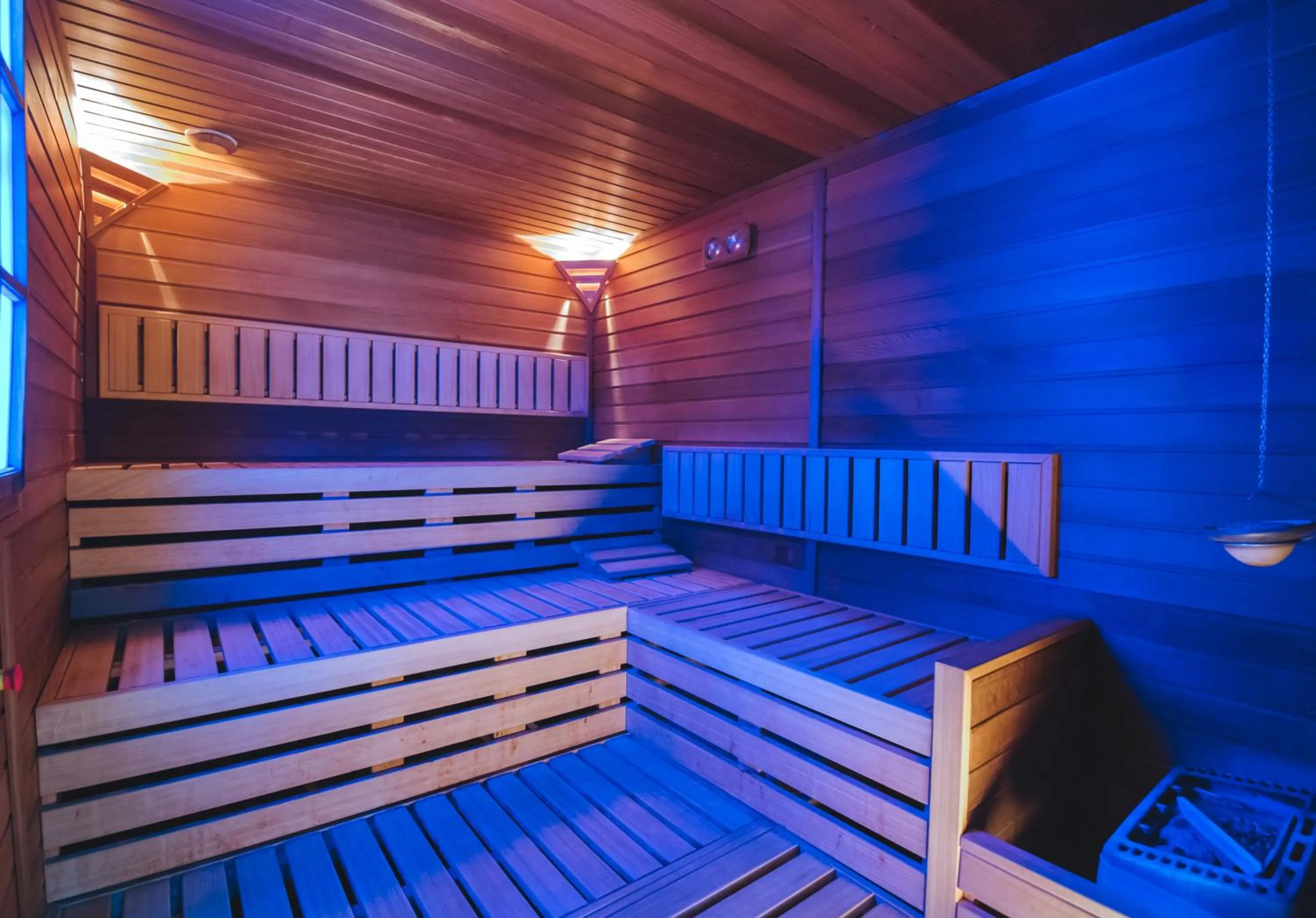 Sauna in Imola Hotel Platán