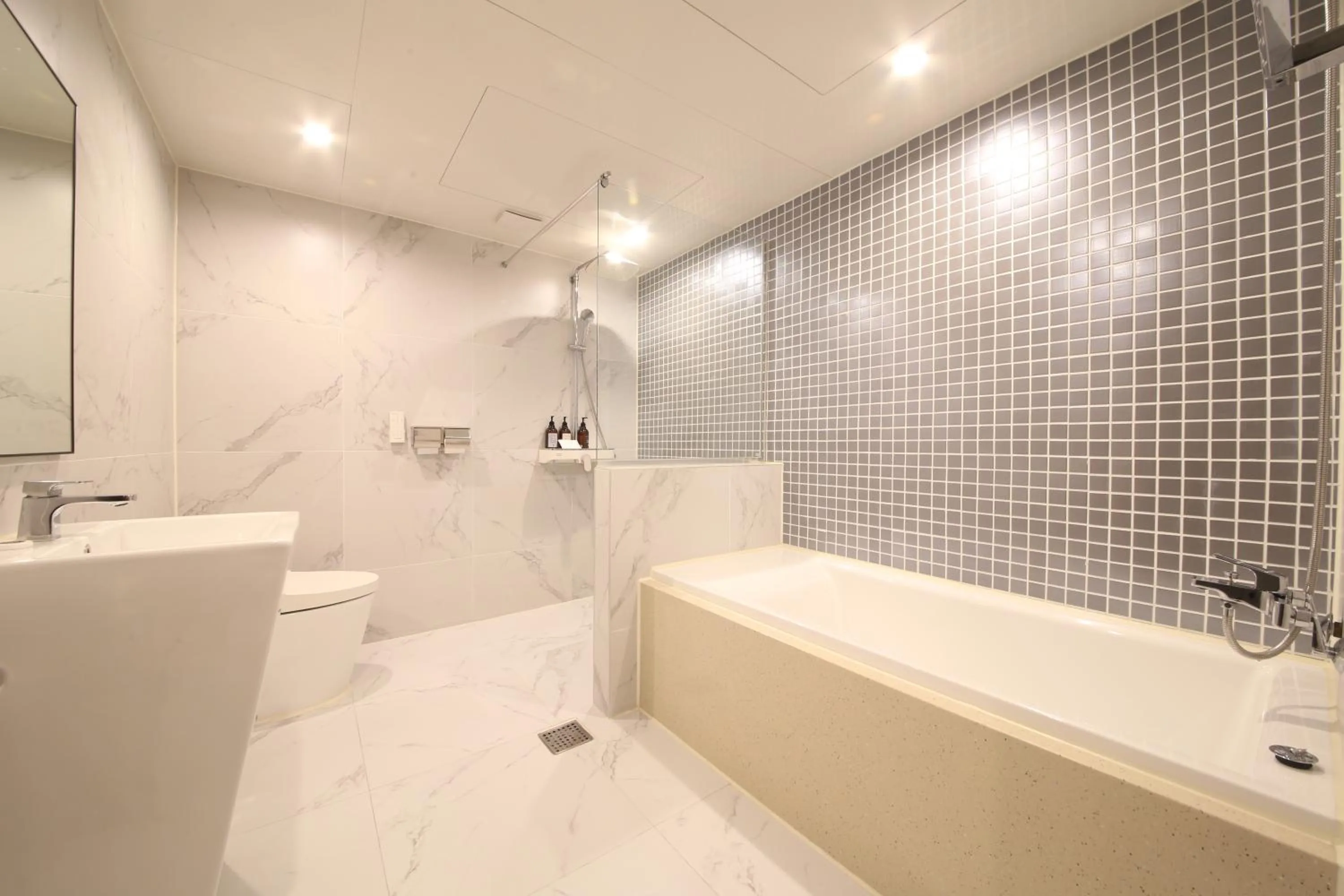 Shower in Hotel Prima Busan