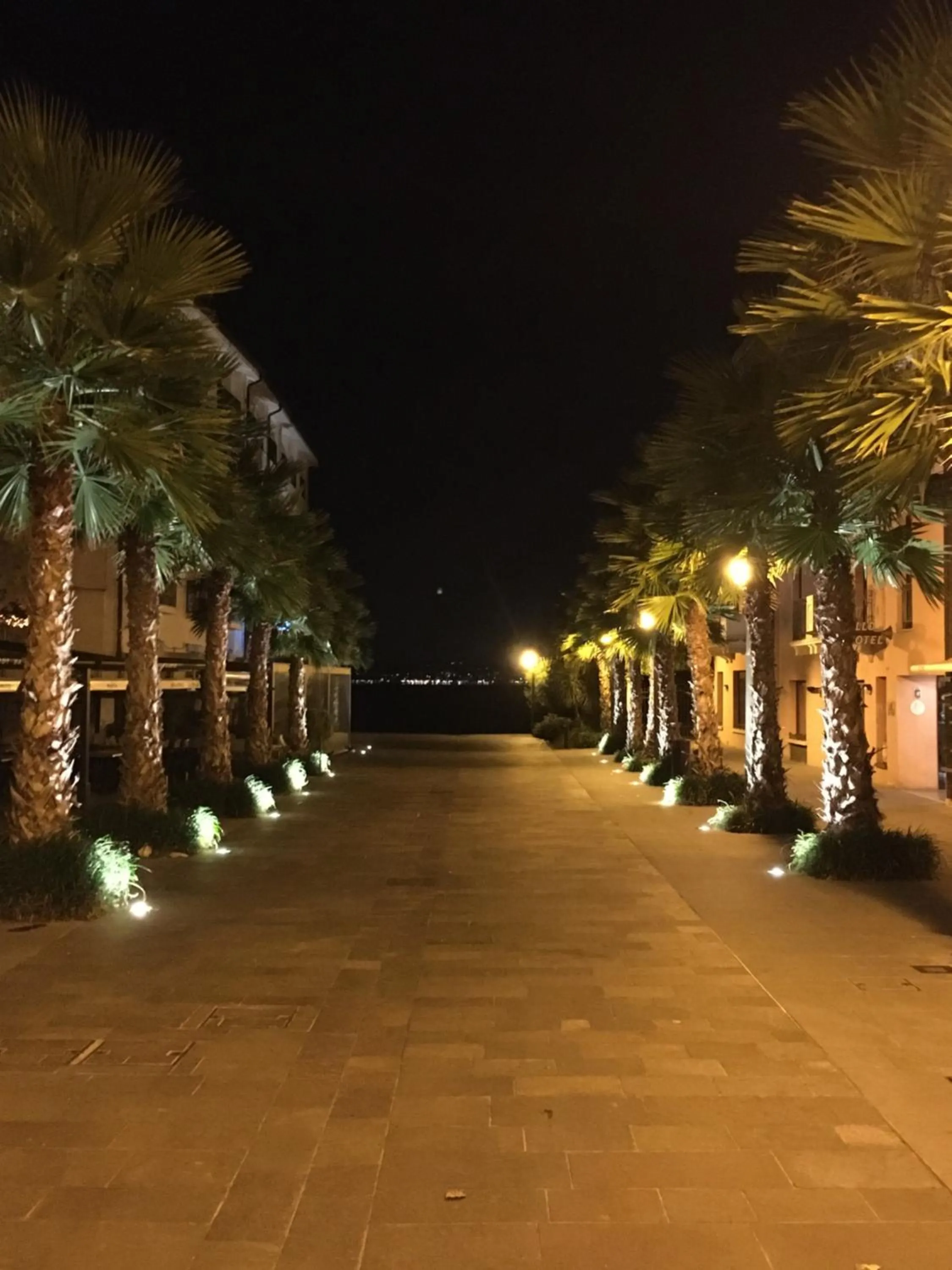 Activities in Hotel Villa Rosa